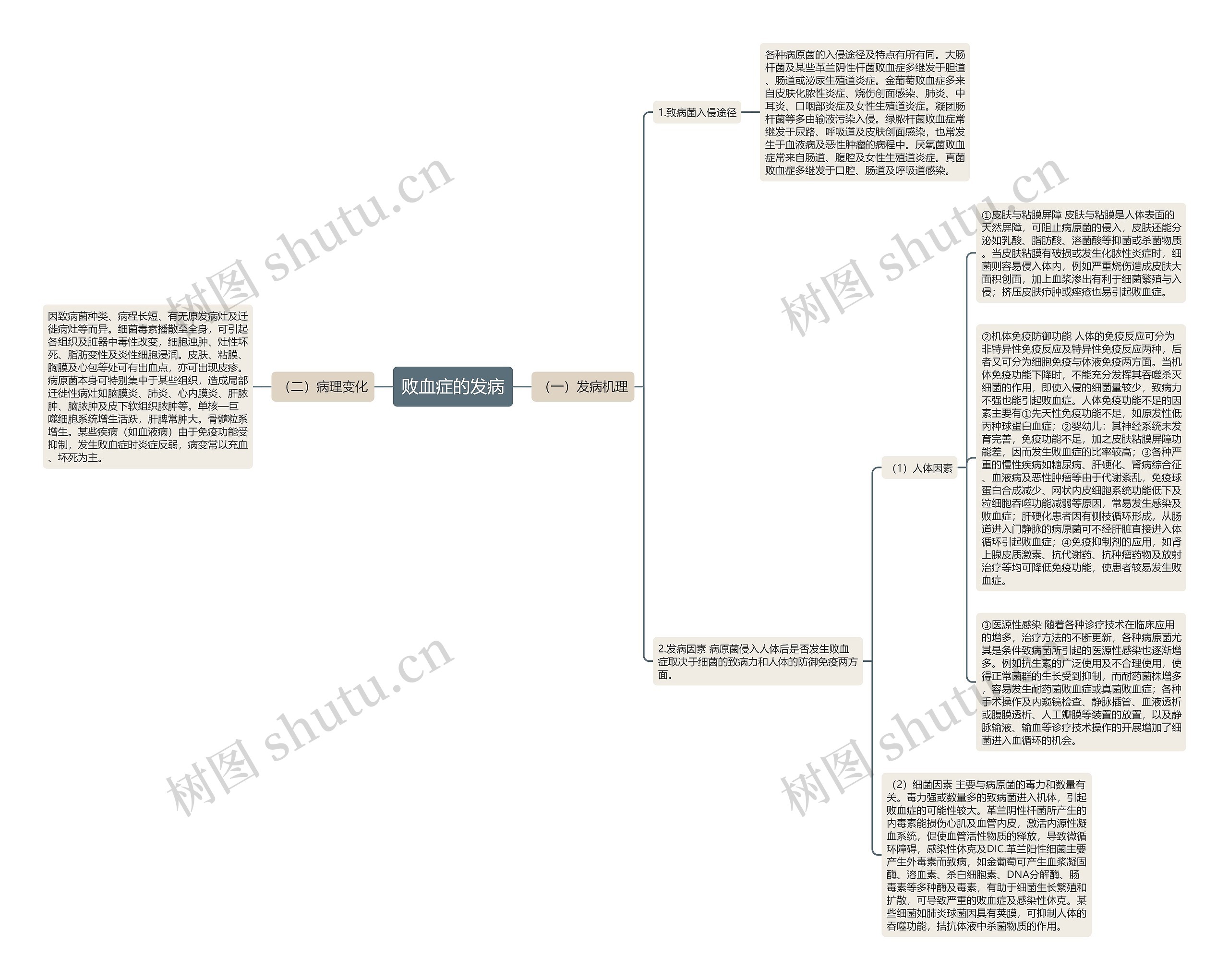败血症的发病思维导图