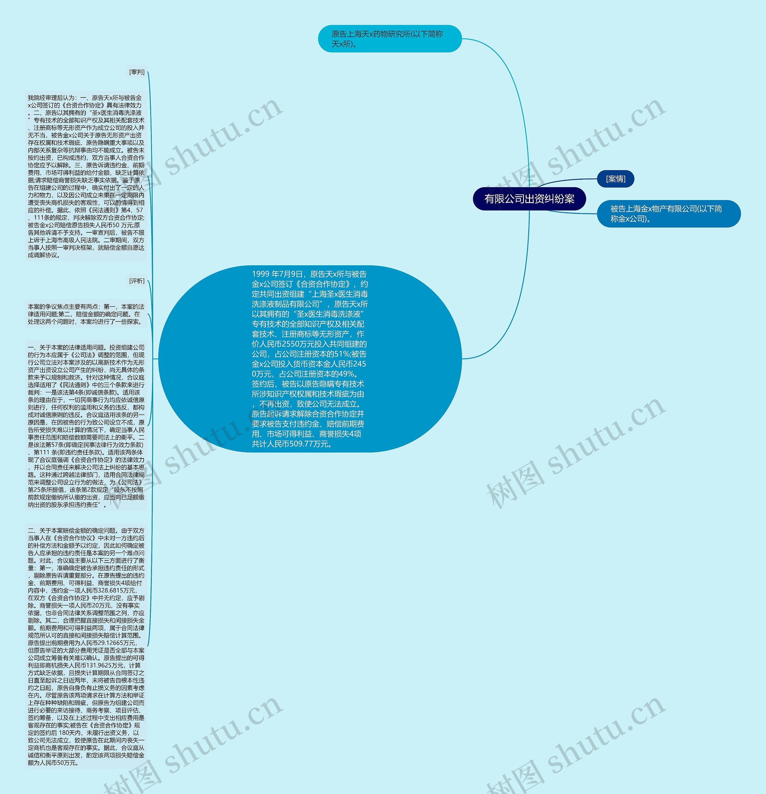 有限公司出资纠纷案思维导图