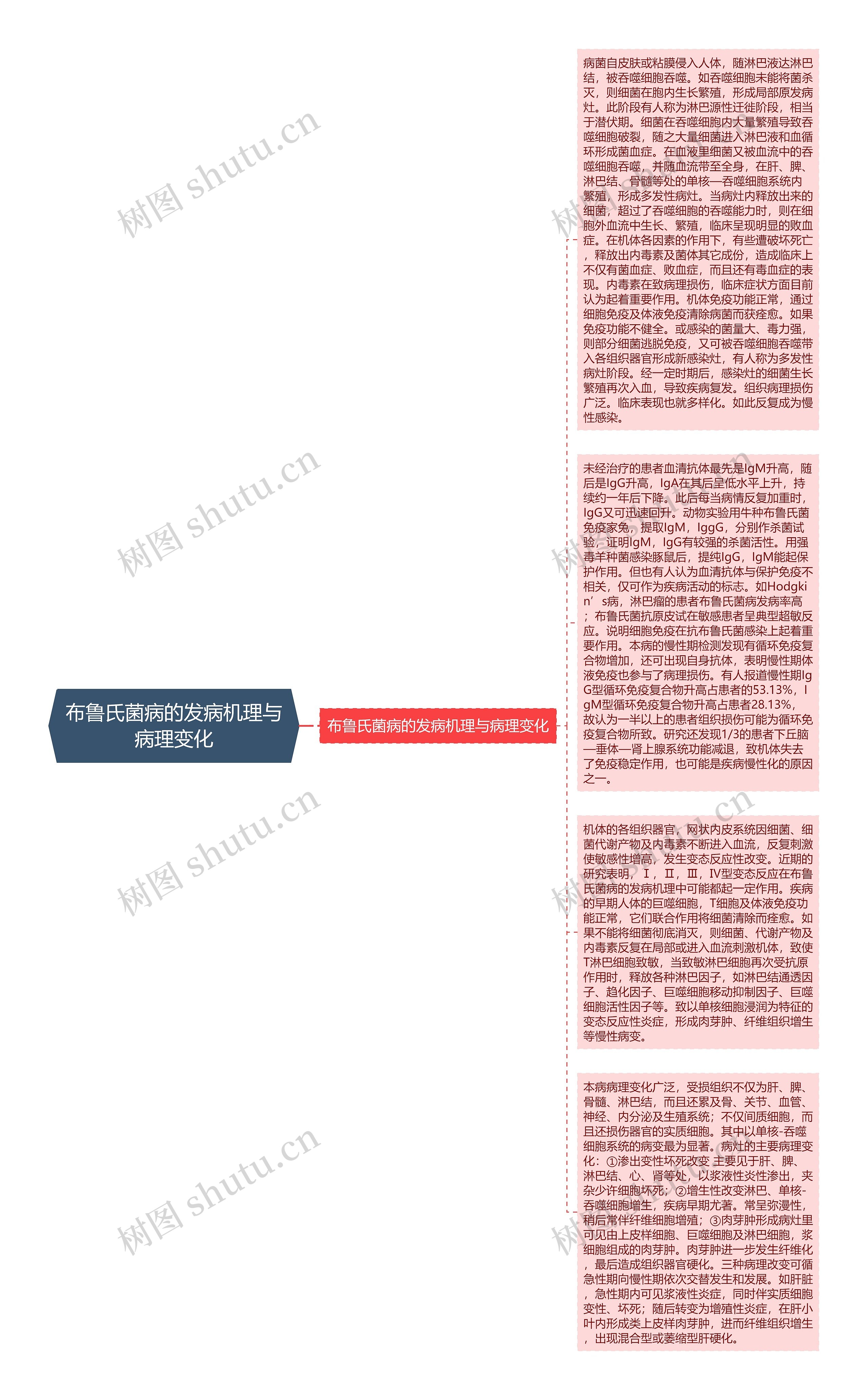 布鲁氏菌病的发病机理与病理变化思维导图