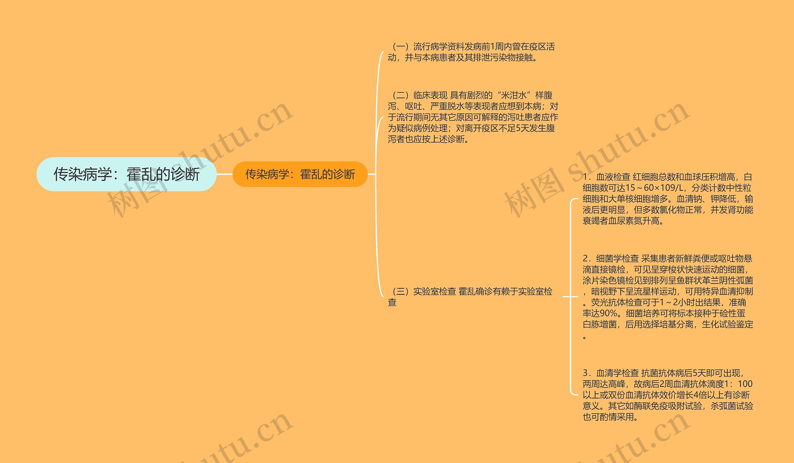 传染病学：霍乱的诊断思维导图