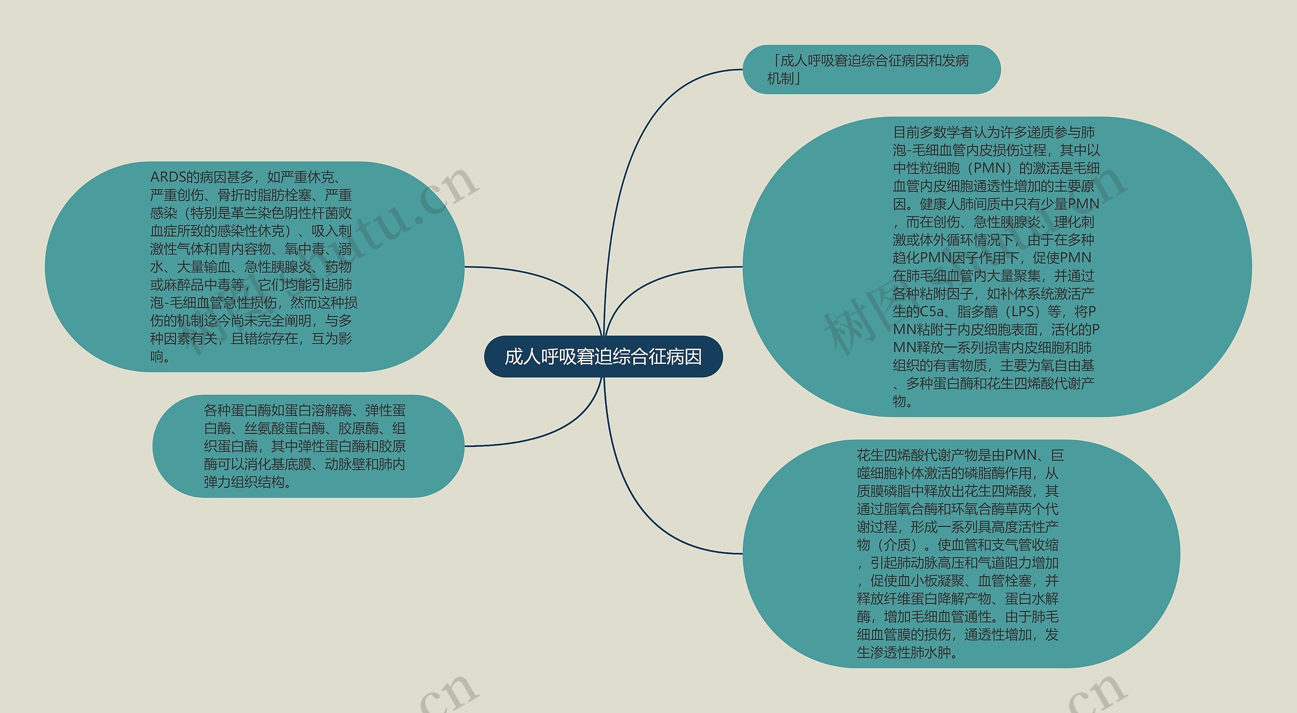 成人呼吸窘迫综合征病因思维导图