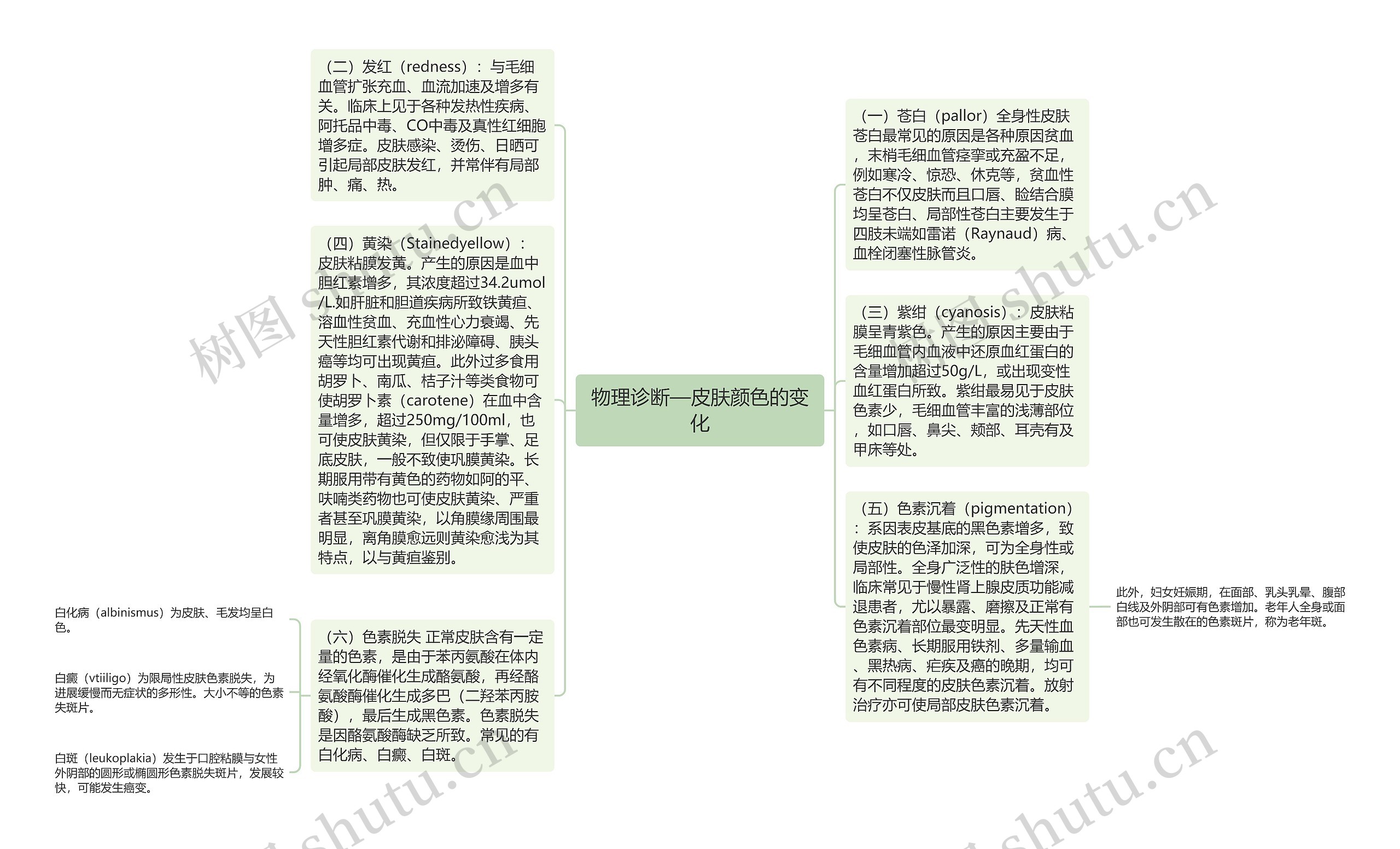 物理诊断—皮肤颜色的变化