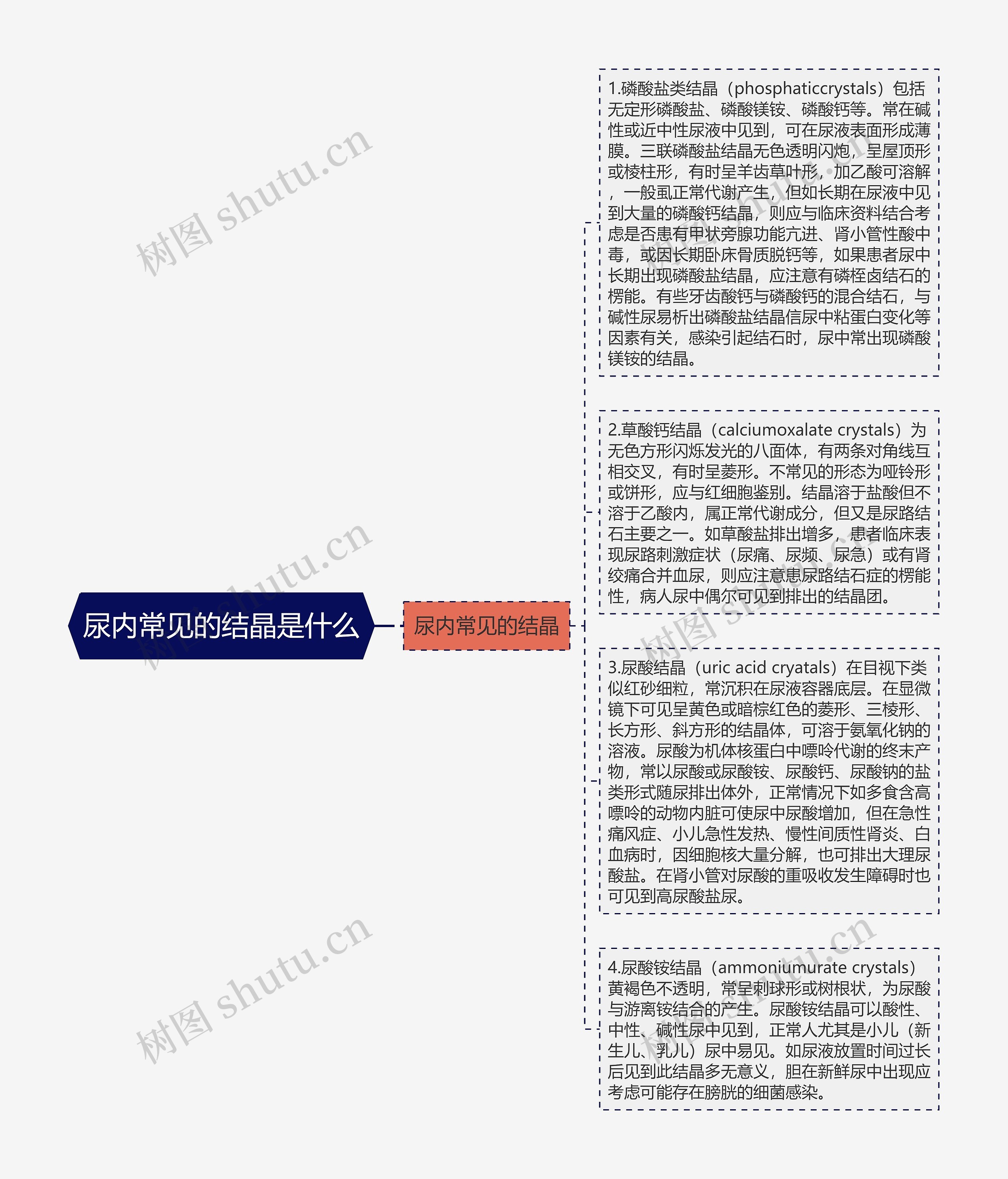 尿内常见的结晶是什么思维导图