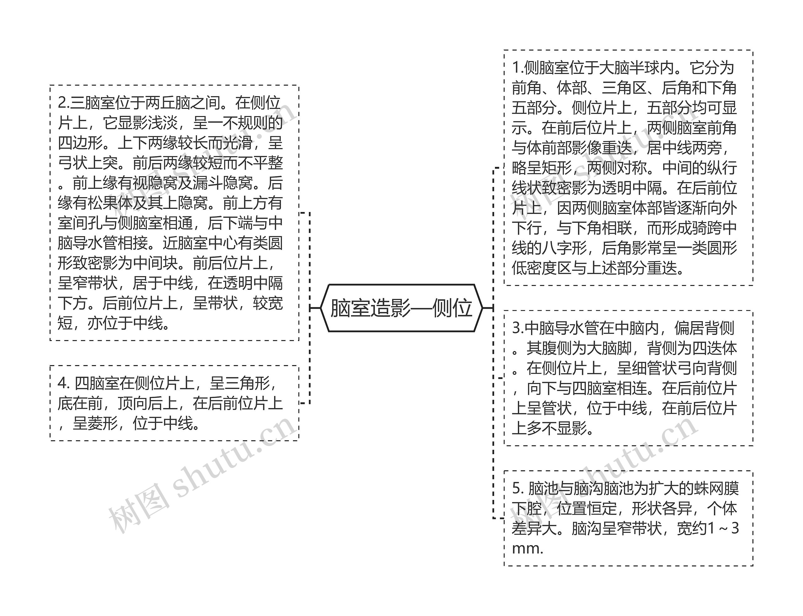 脑室造影—侧位思维导图