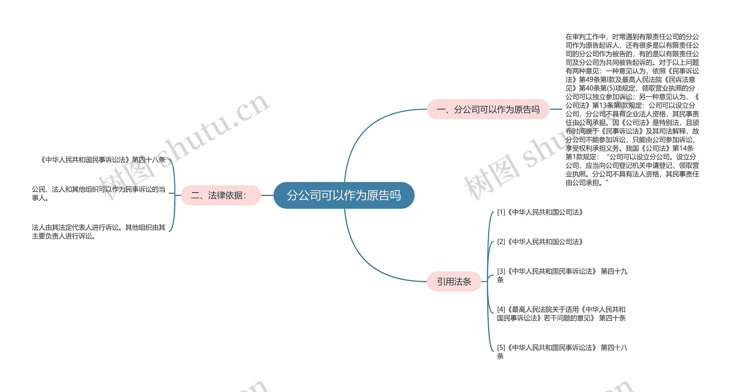 分公司可以作为原告吗