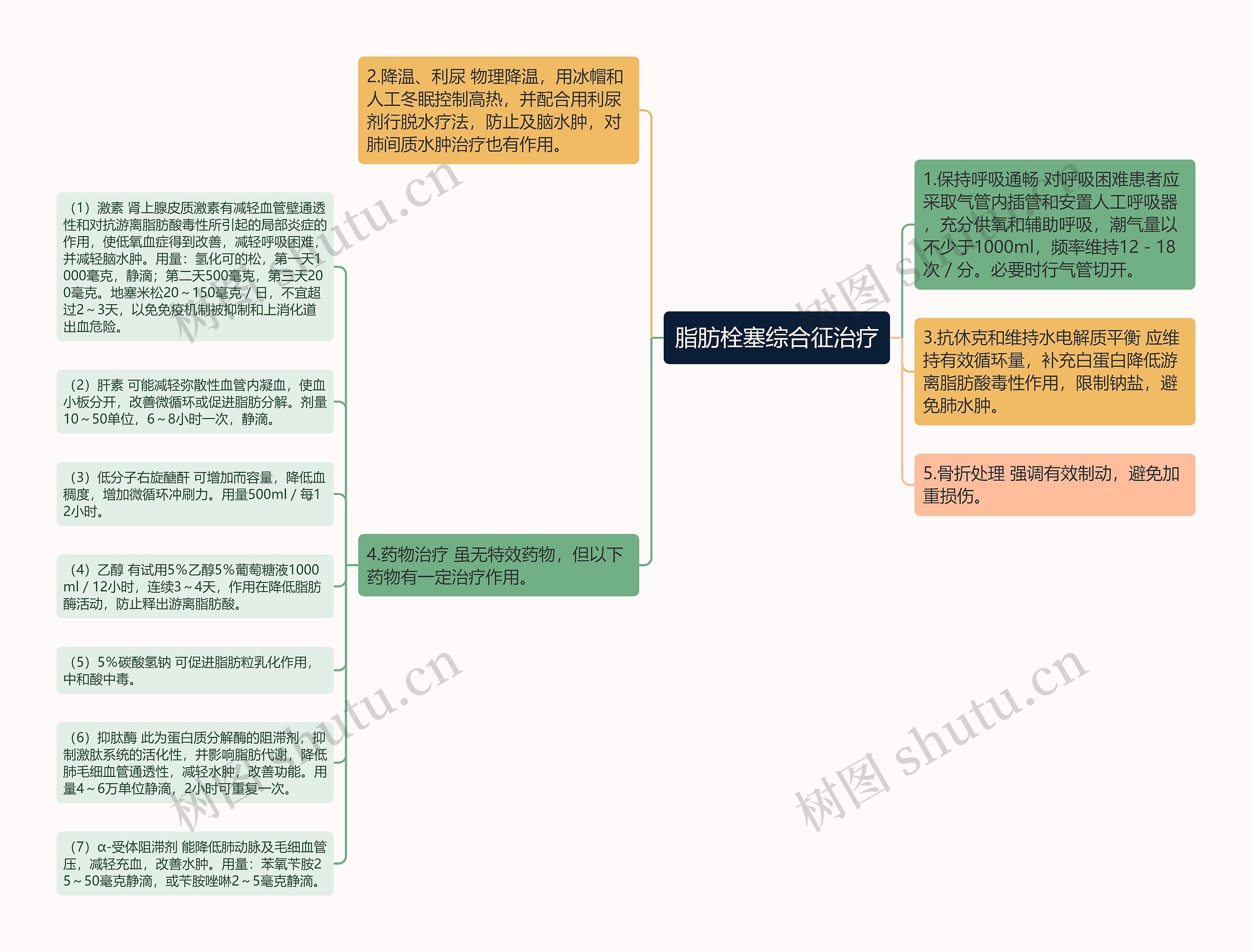 脂肪栓塞综合征治疗思维导图