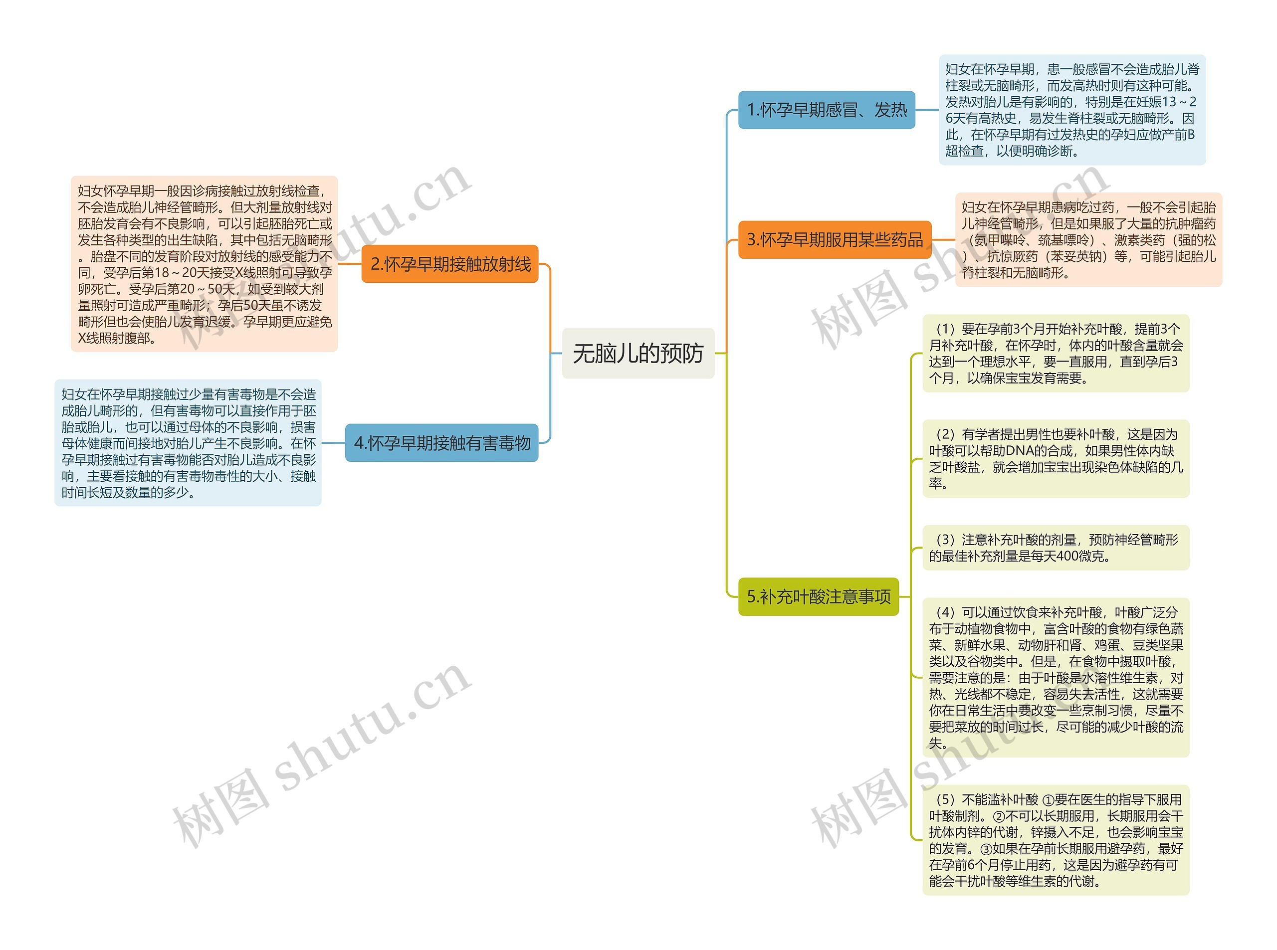 无脑儿的预防思维导图