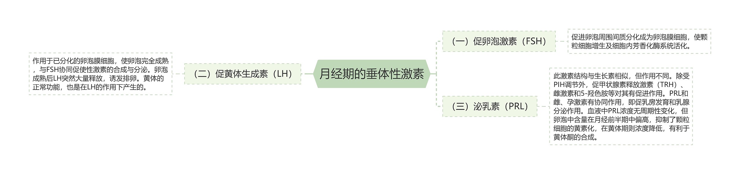 月经期的垂体性激素思维导图