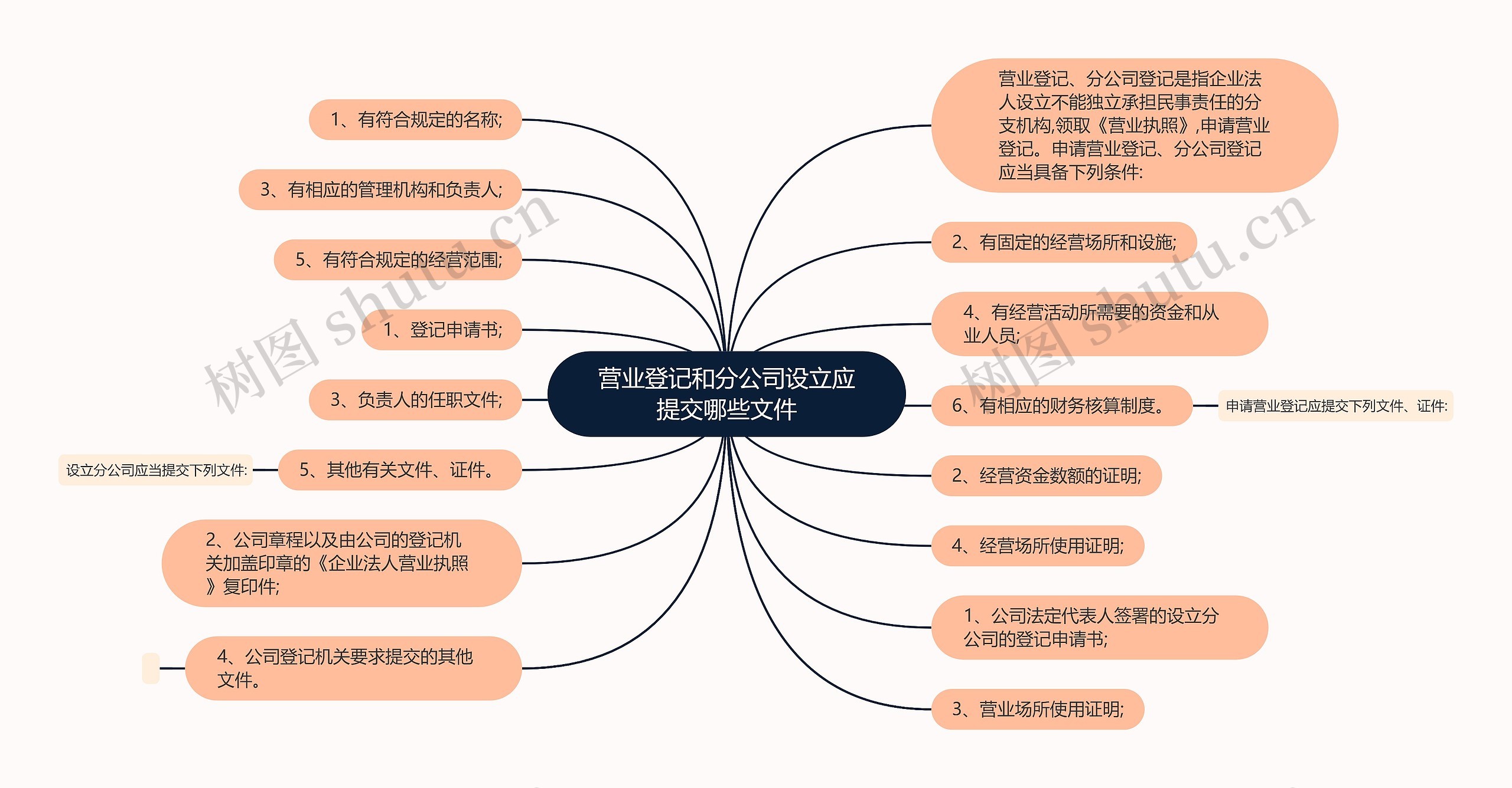 营业登记和分公司设立应提交哪些文件思维导图