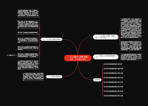 一人公司是什么意思,是指只有一个人的公司吗