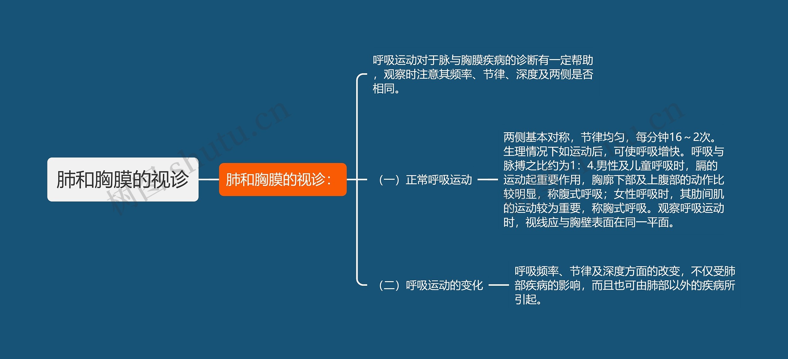 肺和胸膜的视诊思维导图