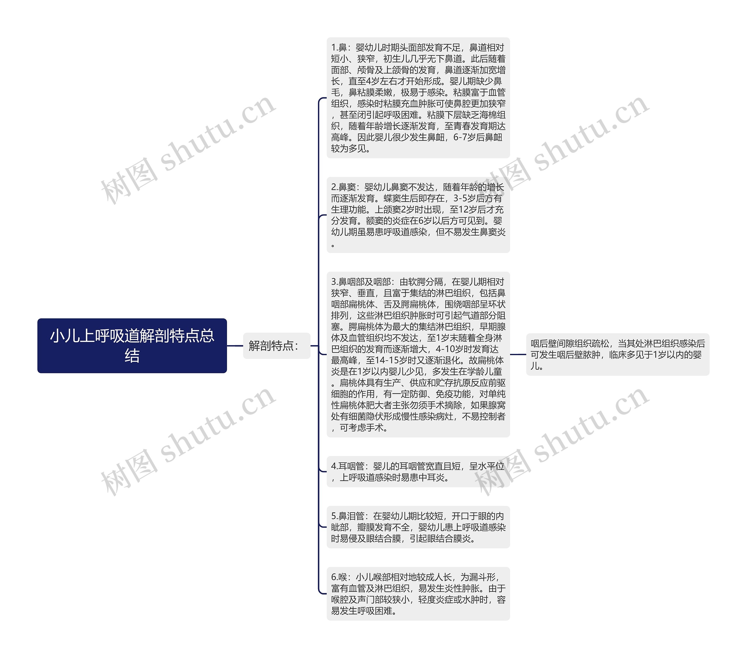 小儿上呼吸道解剖特点总结