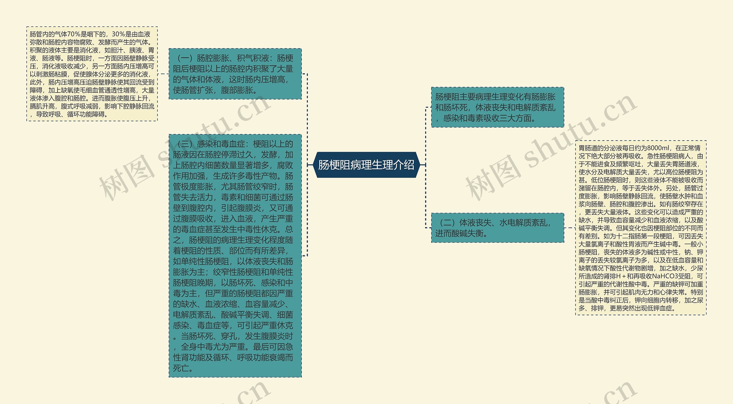 肠梗阻病理生理介绍思维导图