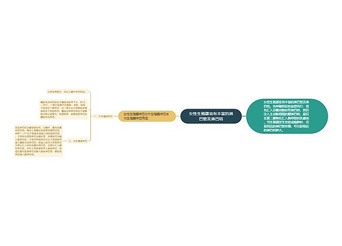 女性生殖器官有丰富的淋巴管及淋巴结