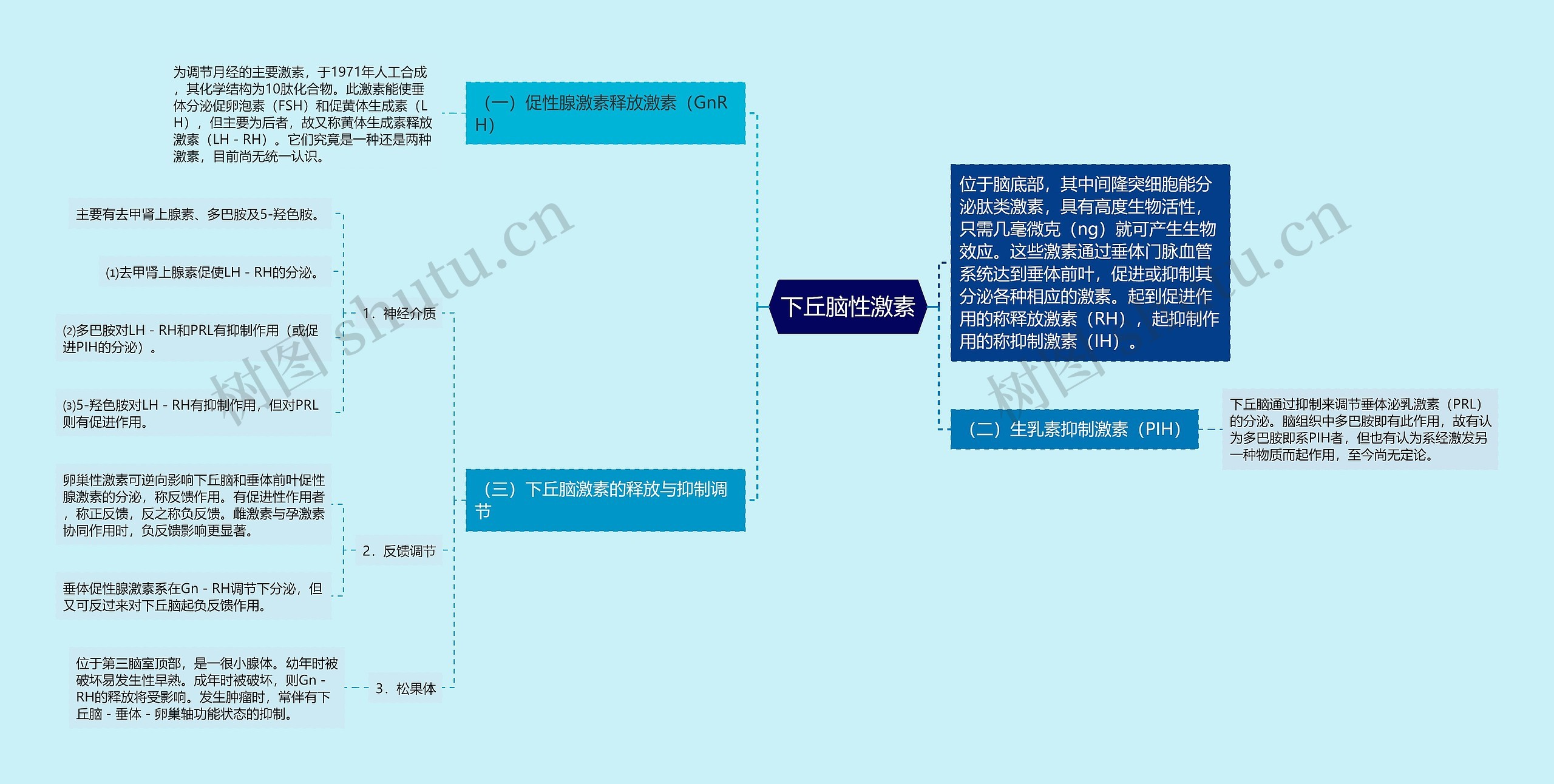 下丘脑性激素思维导图