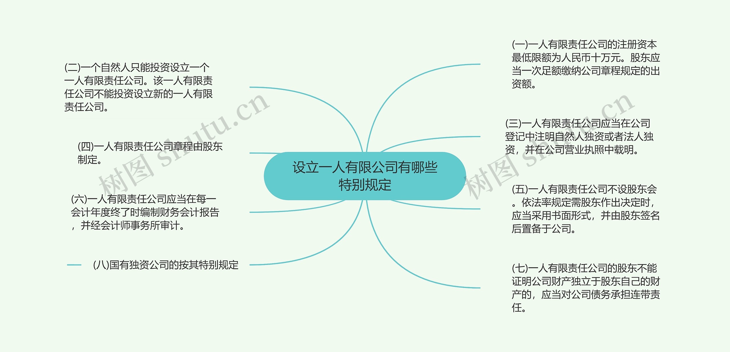 设立一人有限公司有哪些特别规定思维导图