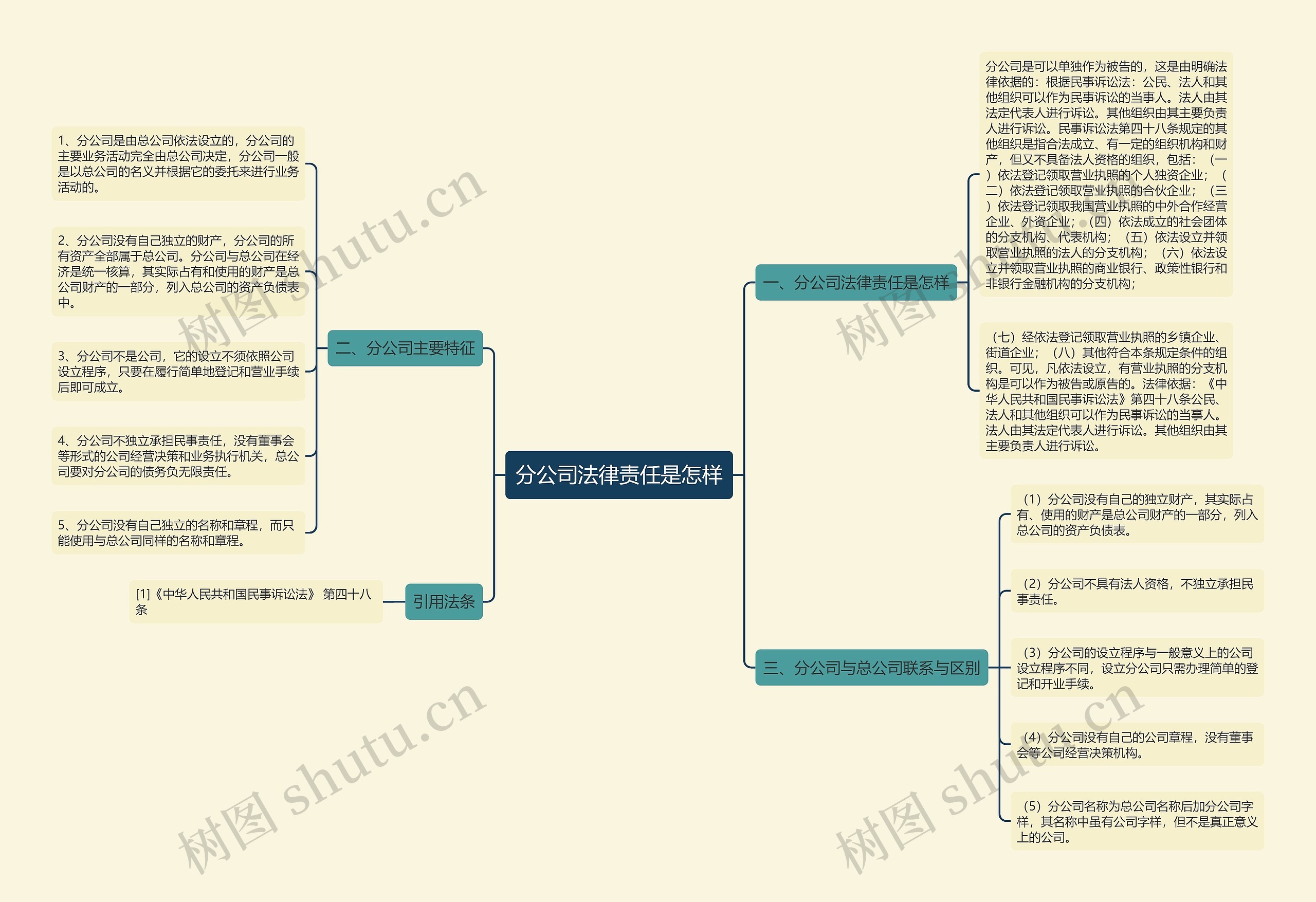 分公司法律责任是怎样思维导图