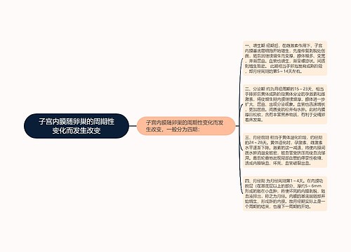 子宫内膜随卵巢的周期性变化而发生改变