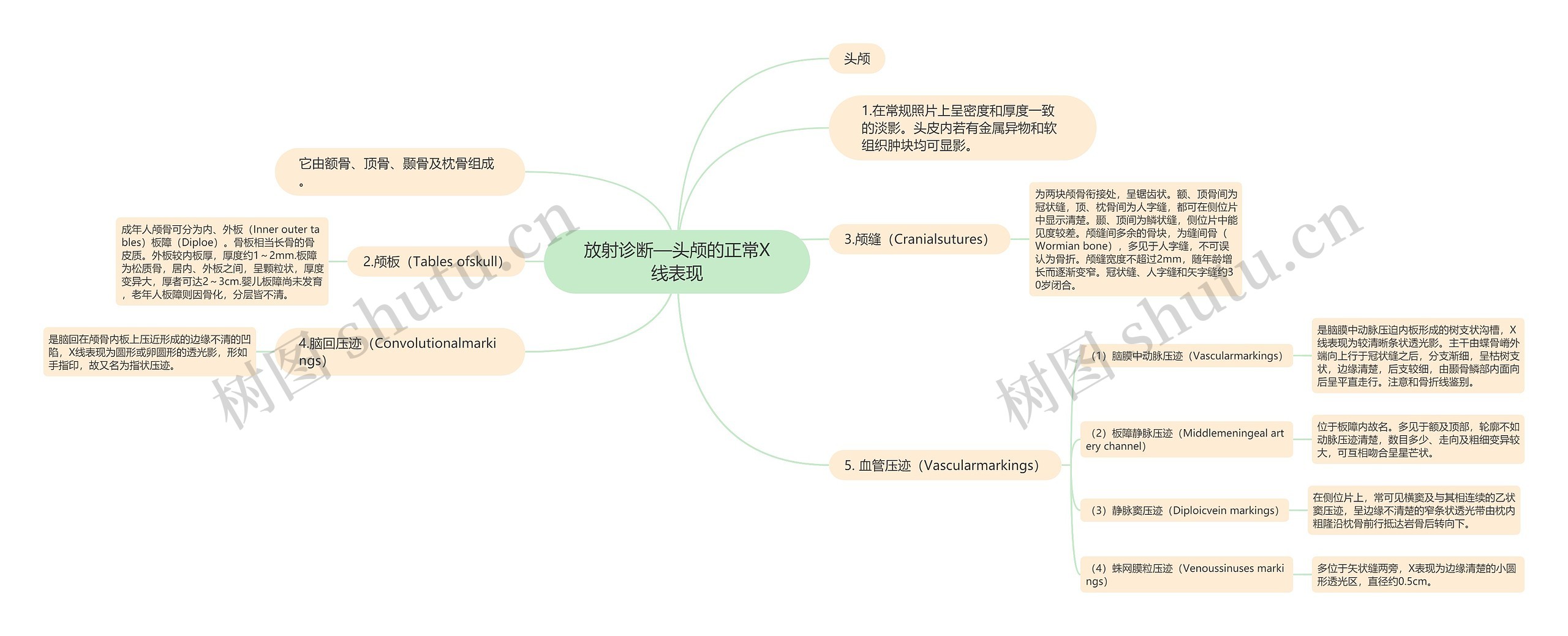 放射诊断—头颅的正常X线表现