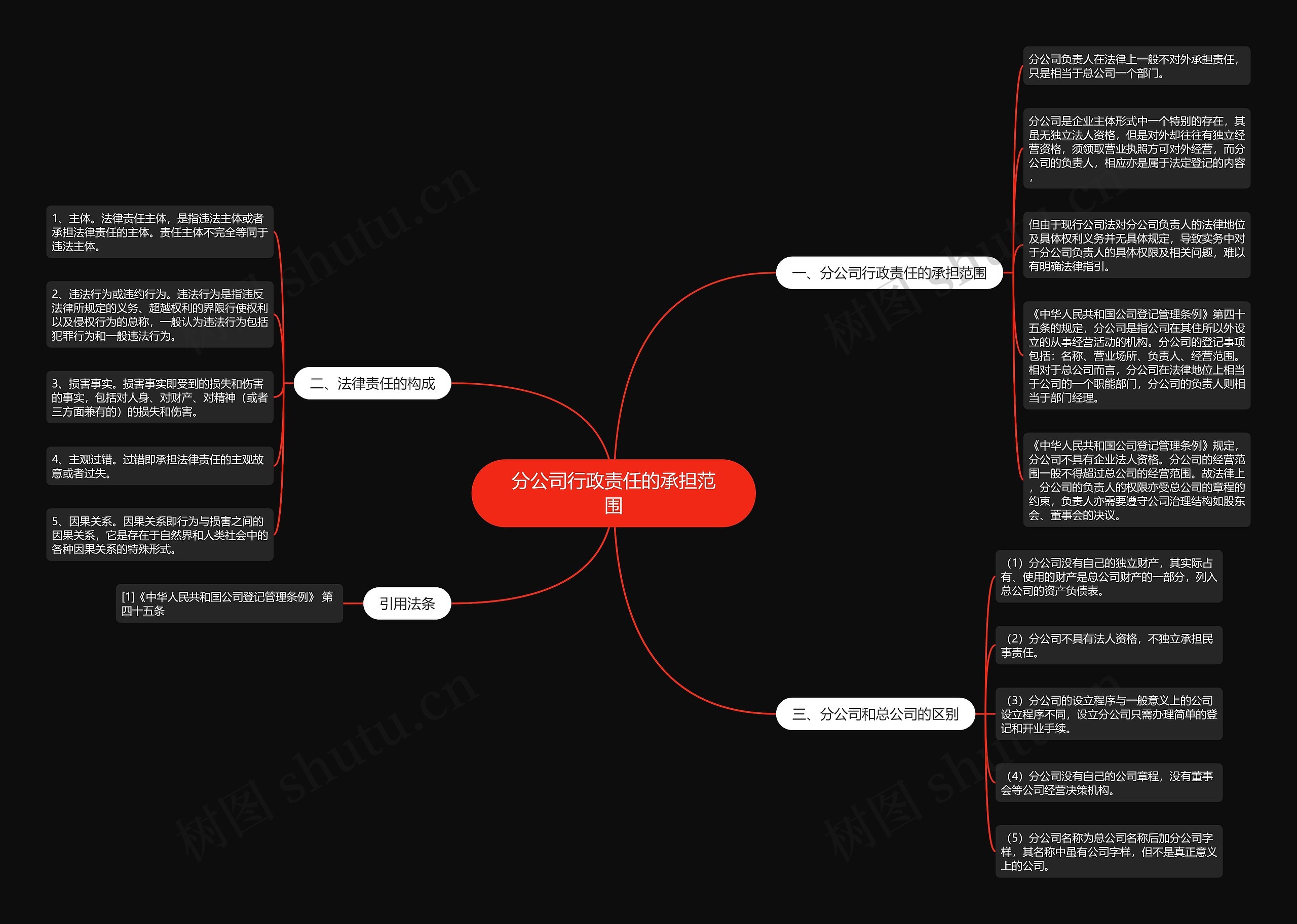 分公司行政责任的承担范围