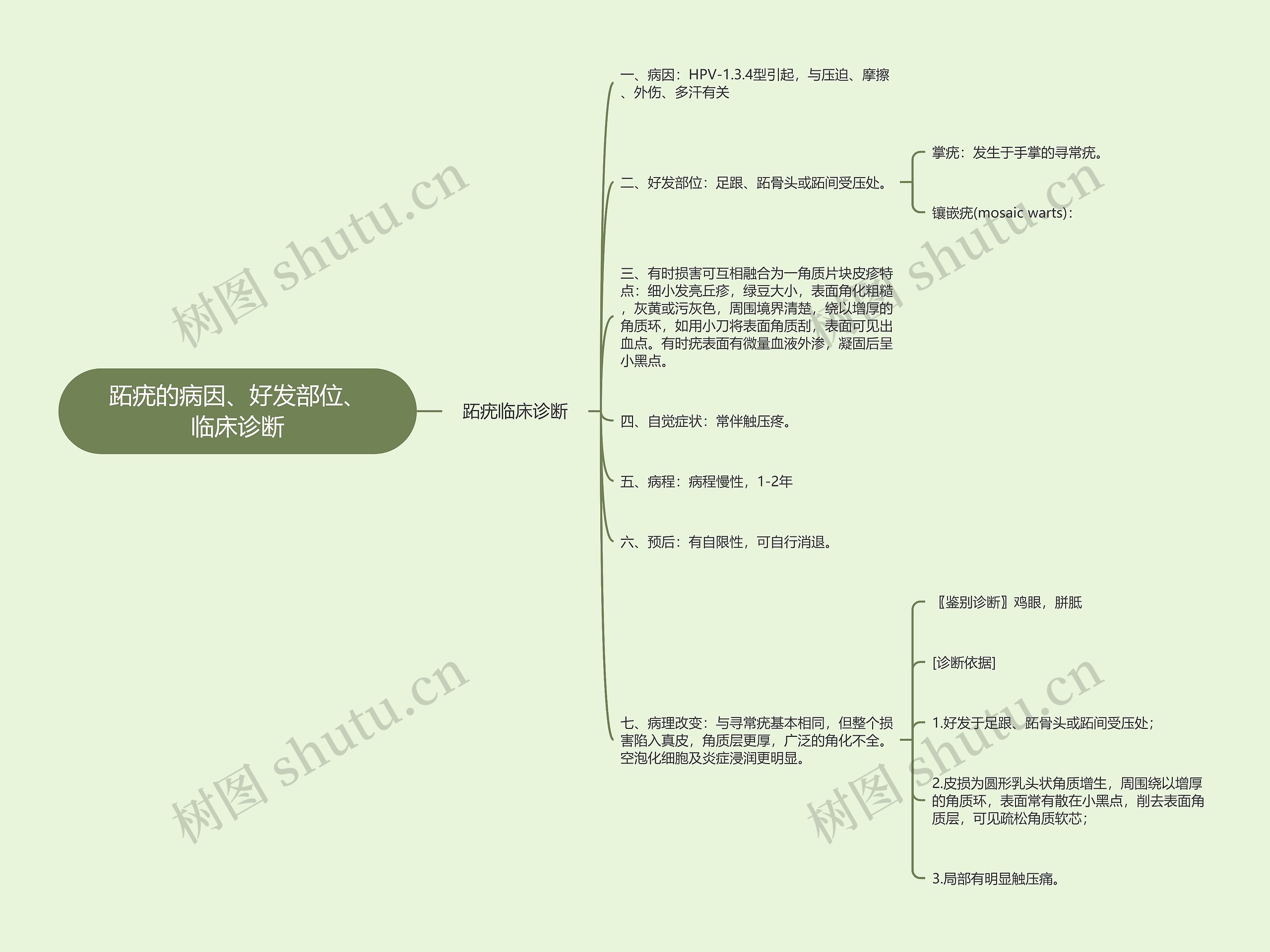 跖疣的病因、好发部位、临床诊断思维导图