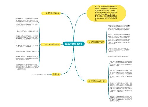 集团公司的资本运作