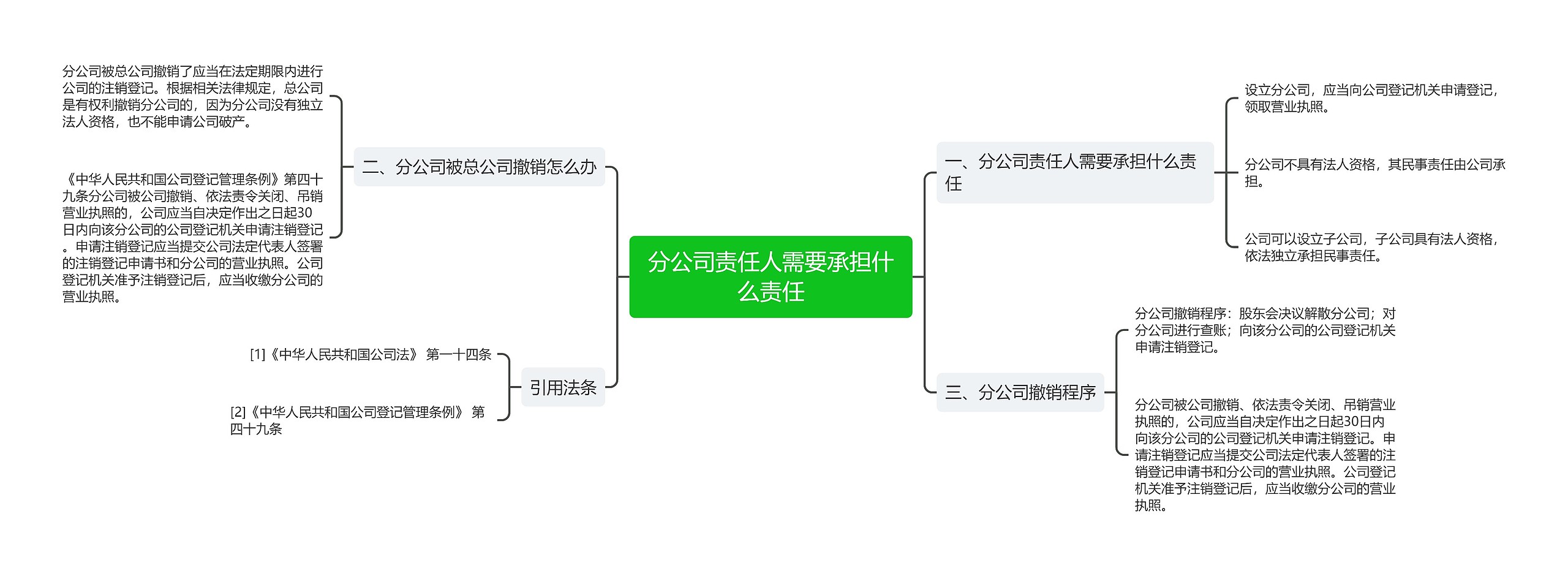 分公司责任人需要承担什么责任思维导图