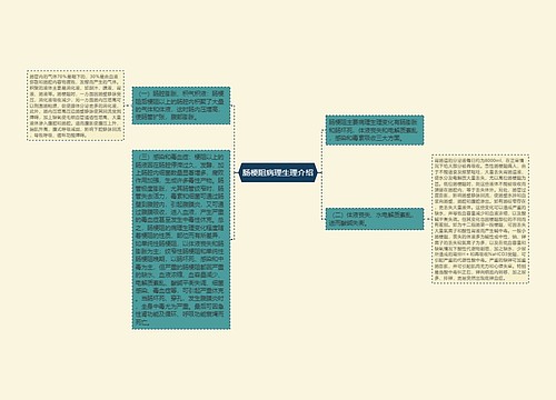 肠梗阻病理生理介绍