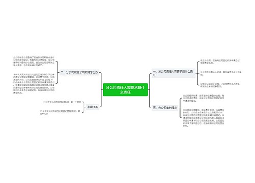 分公司责任人需要承担什么责任