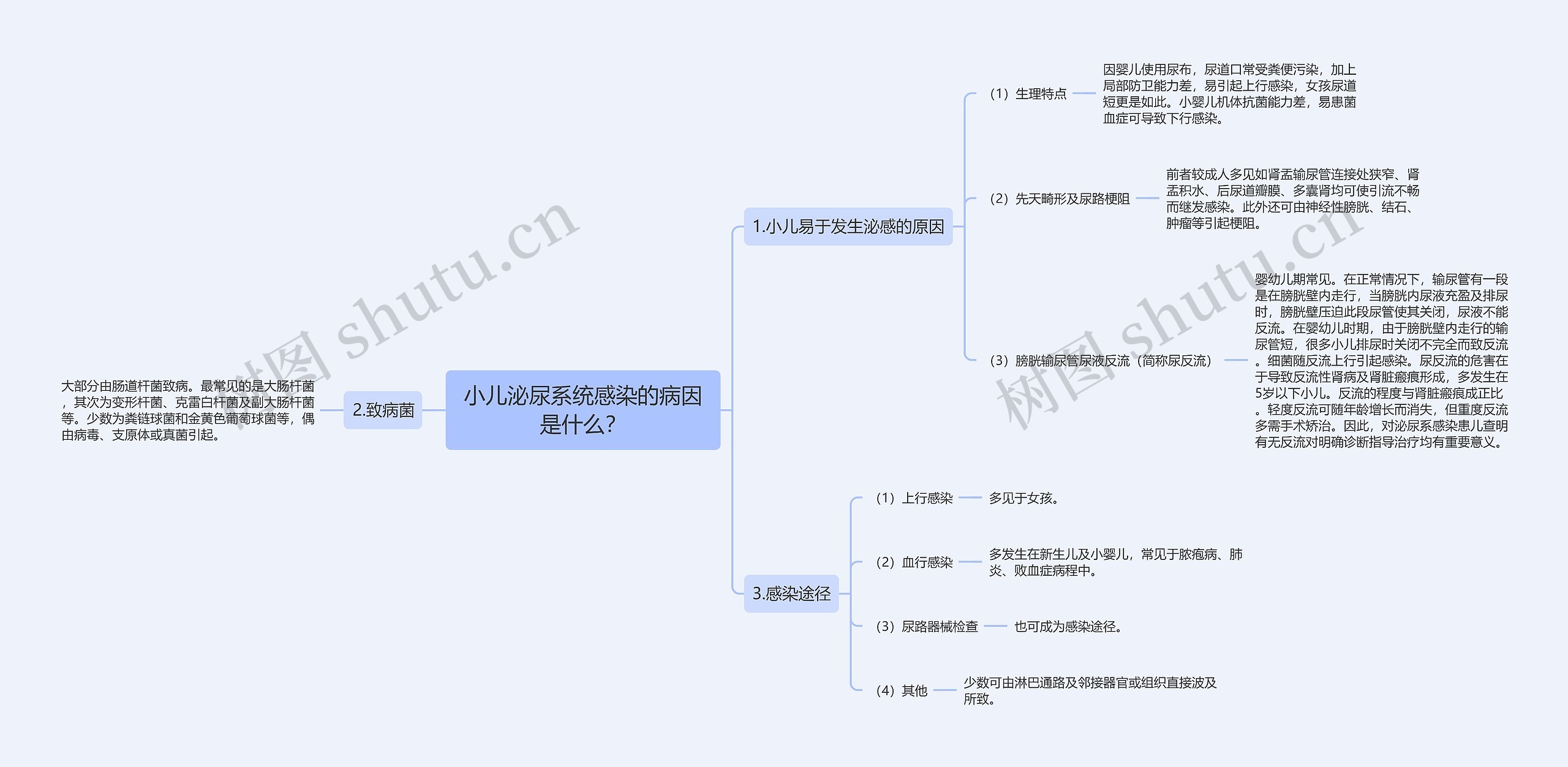 小儿泌尿系统感染的病因是什么？思维导图