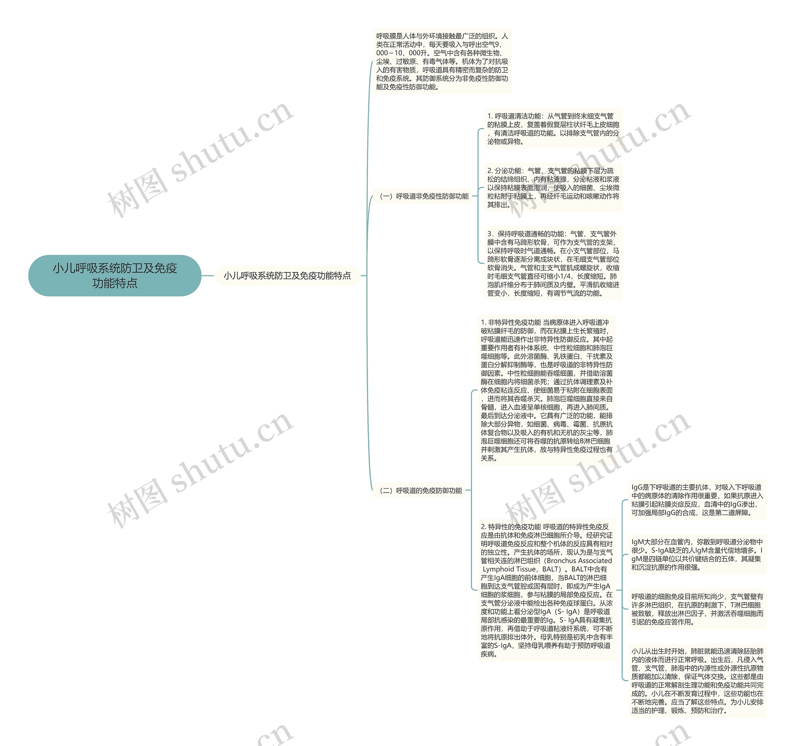 小儿呼吸系统防卫及免疫功能特点 小儿呼吸系统防卫及免疫功能特点