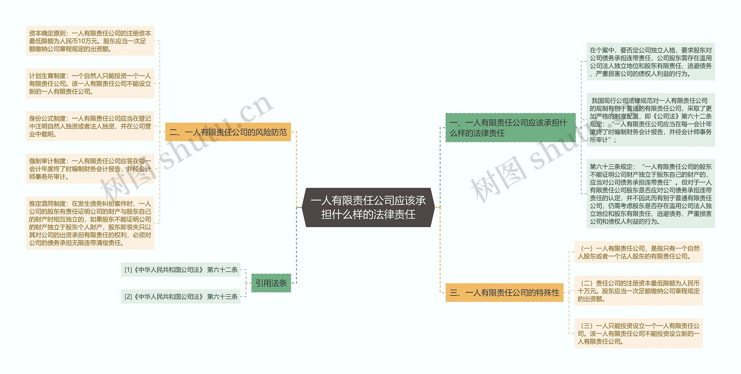 一人有限责任公司应该承担什么样的法律责任思维导图