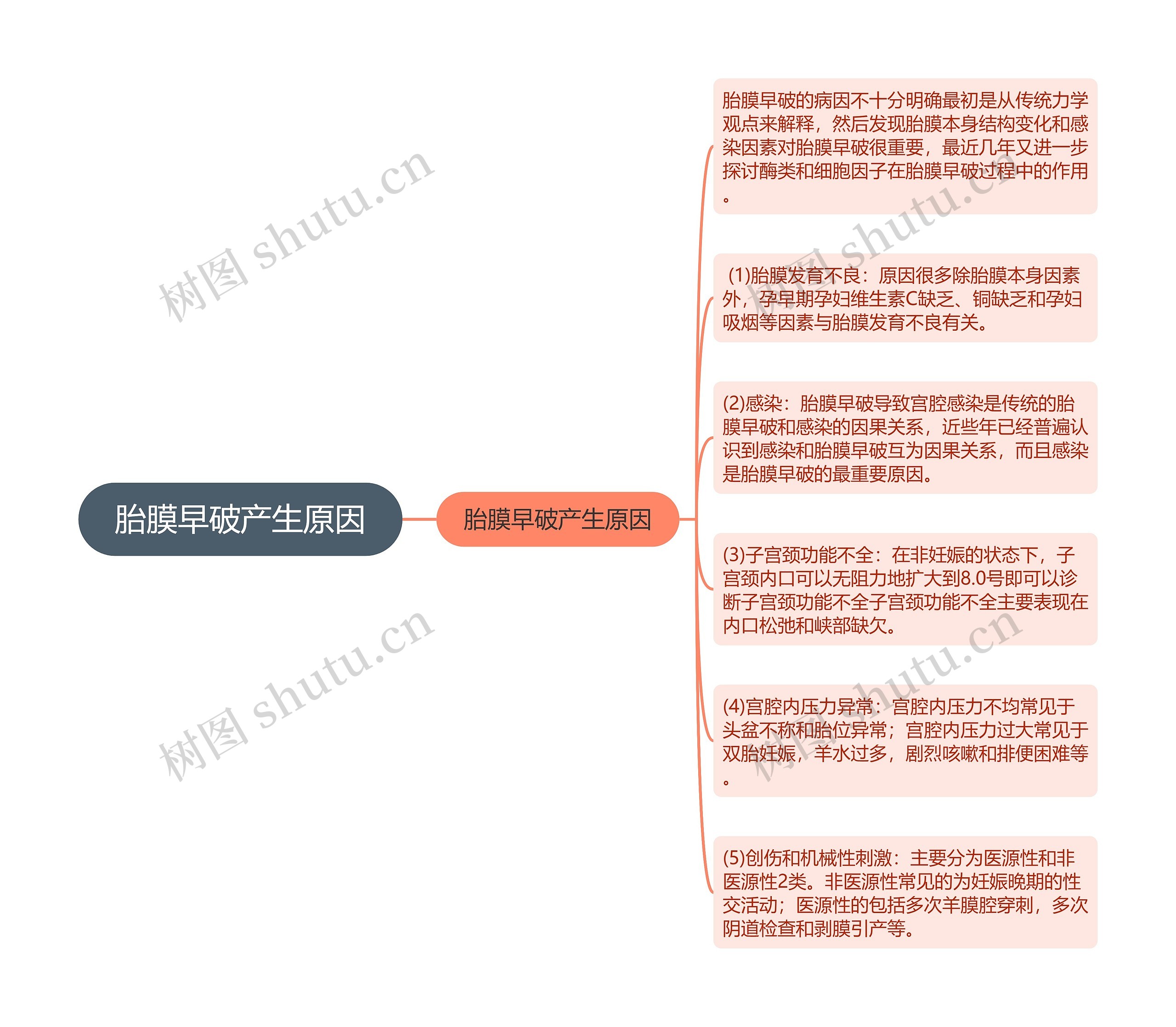 胎膜早破产生原因思维导图