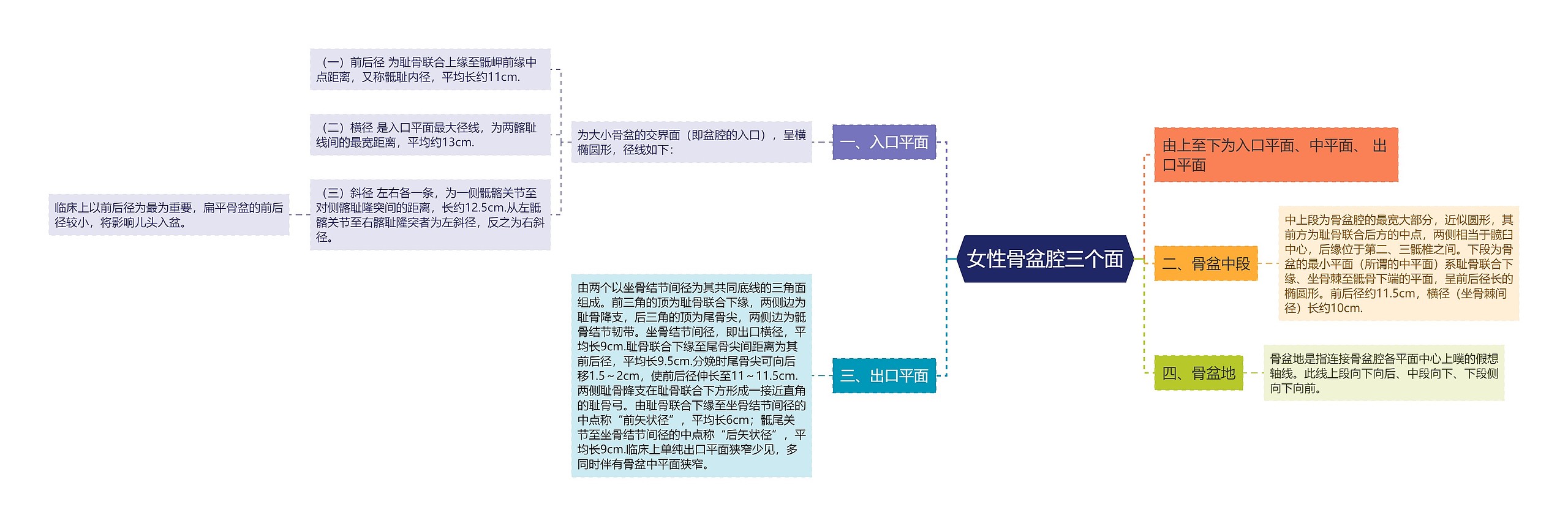 女性骨盆腔三个面