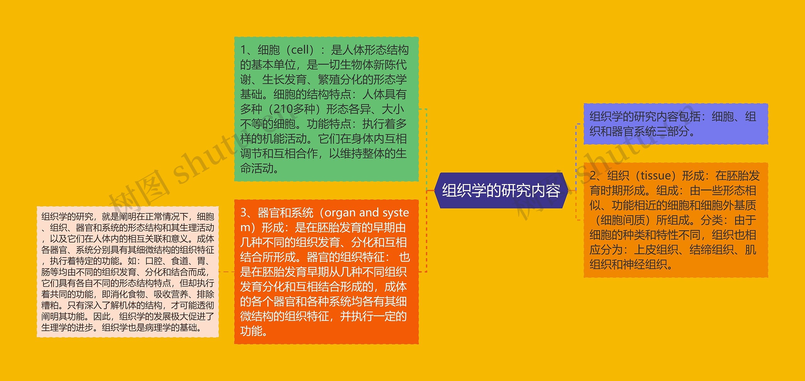 组织学的研究内容 组织学的研究内容