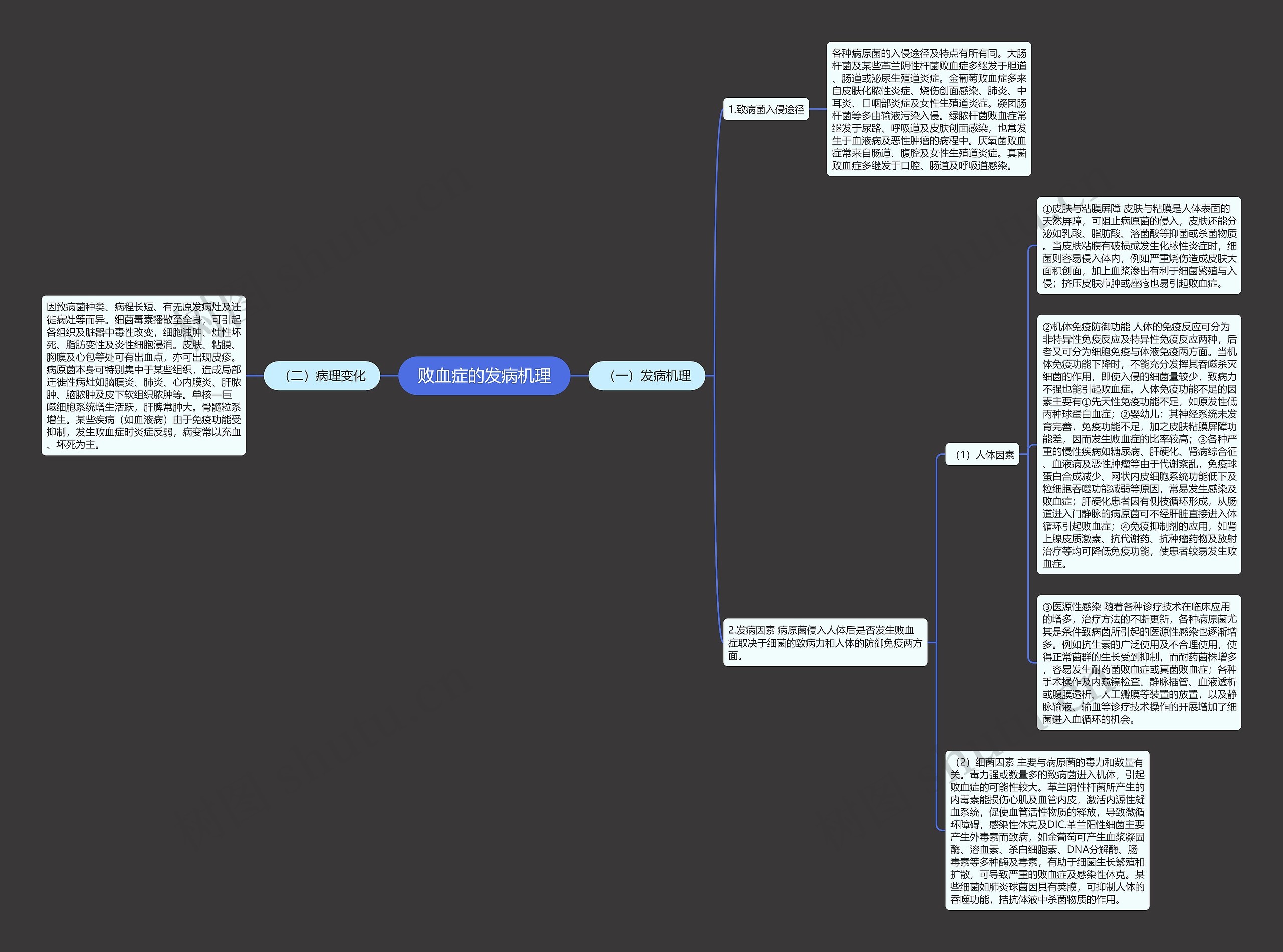 败血症的发病机理思维导图