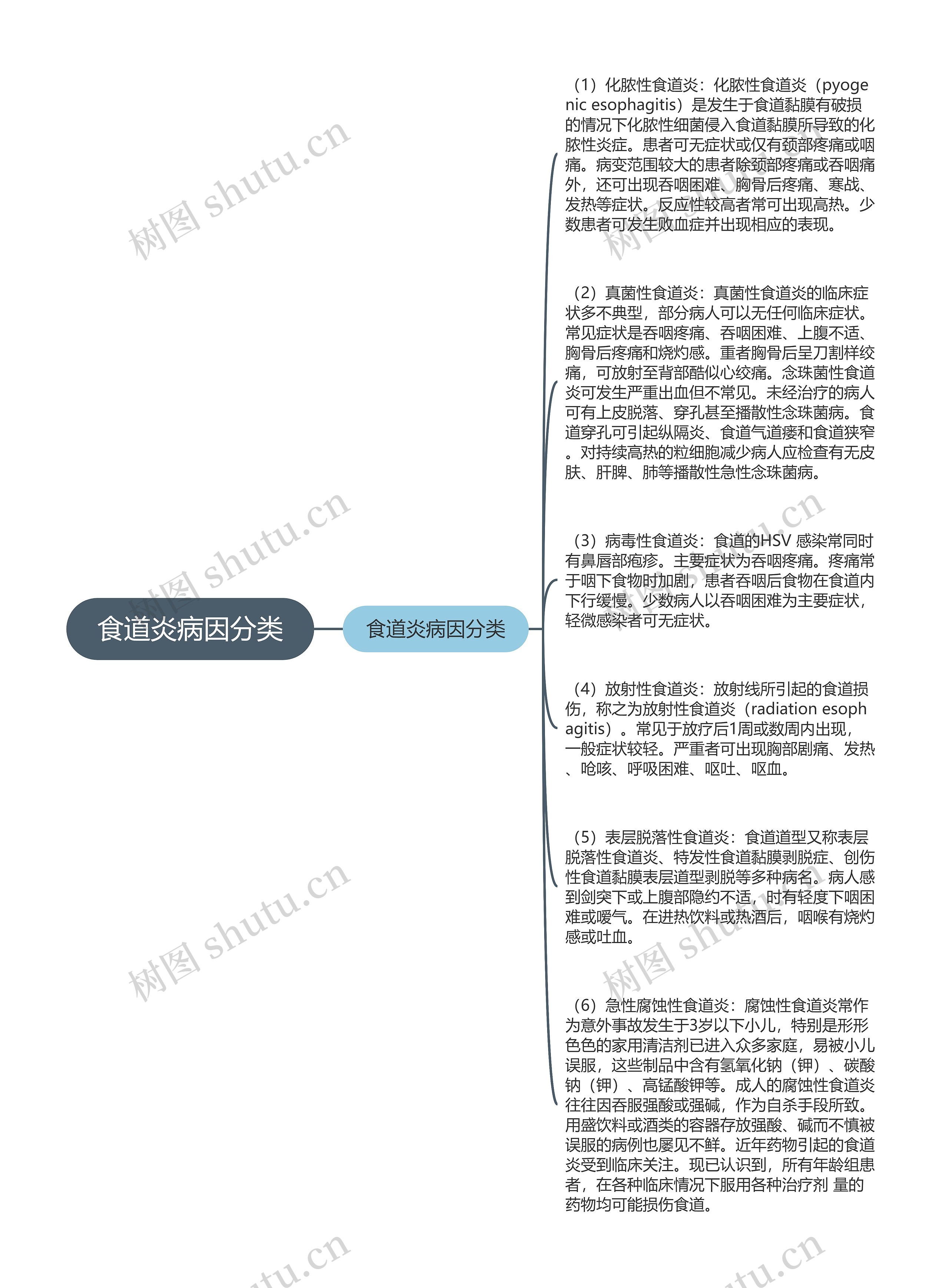 食道炎病因分类