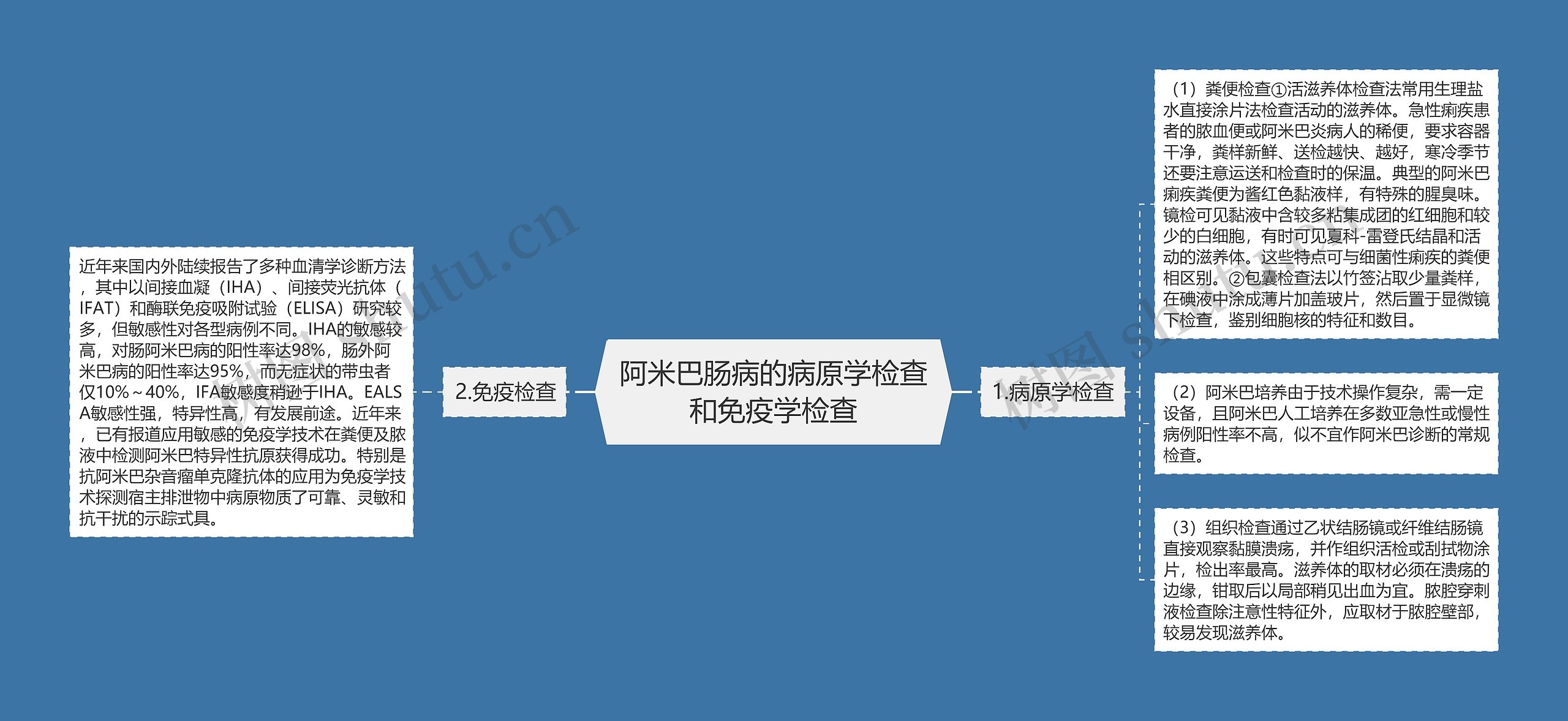 阿米巴肠病的病原学检查和免疫学检查思维导图