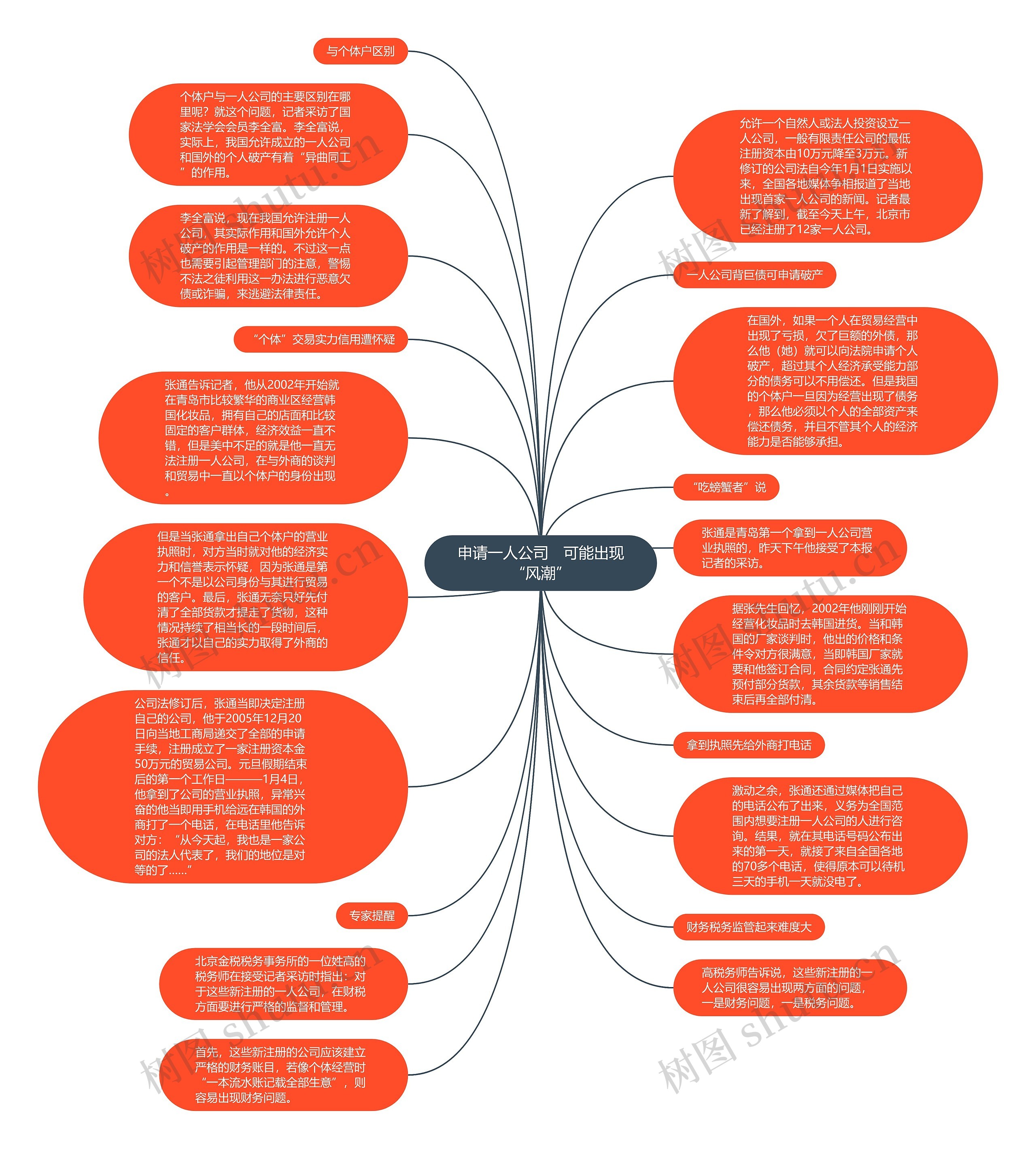 申请一人公司　可能出现“风潮”思维导图