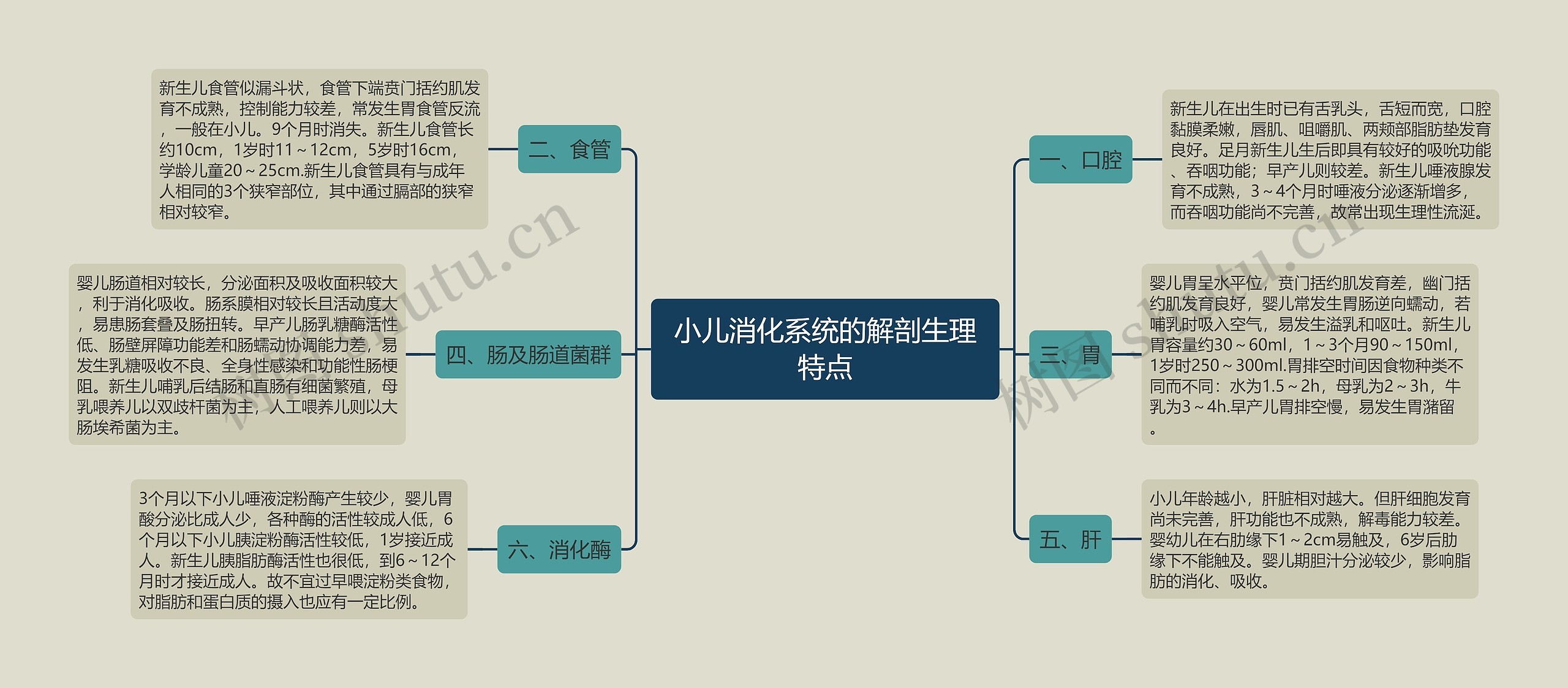 小儿消化系统的解剖生理特点思维导图