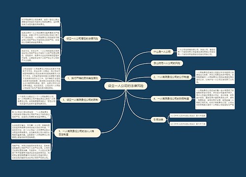 设立一人公司的法律风险
