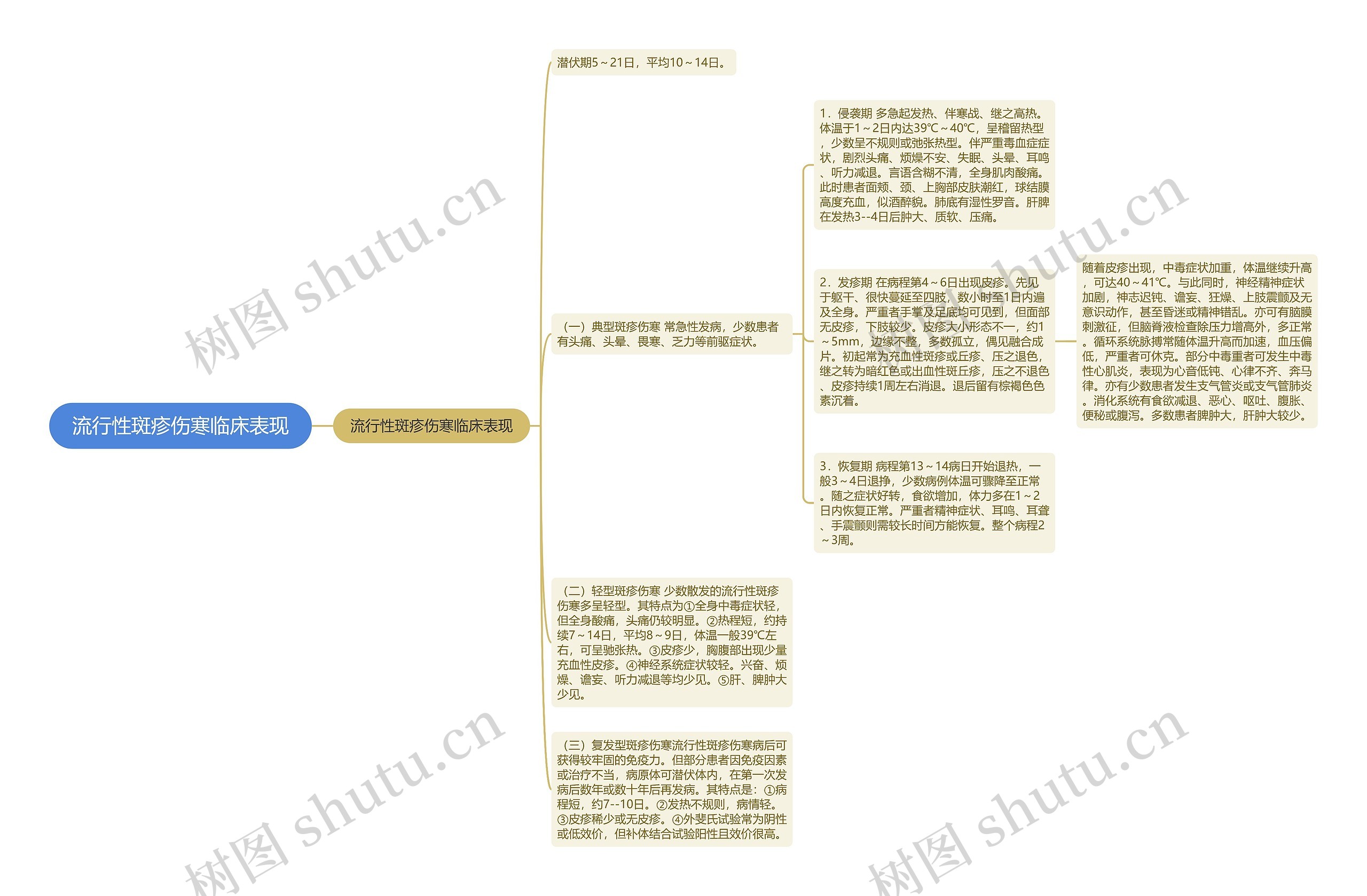 流行性斑疹伤寒临床表现思维导图