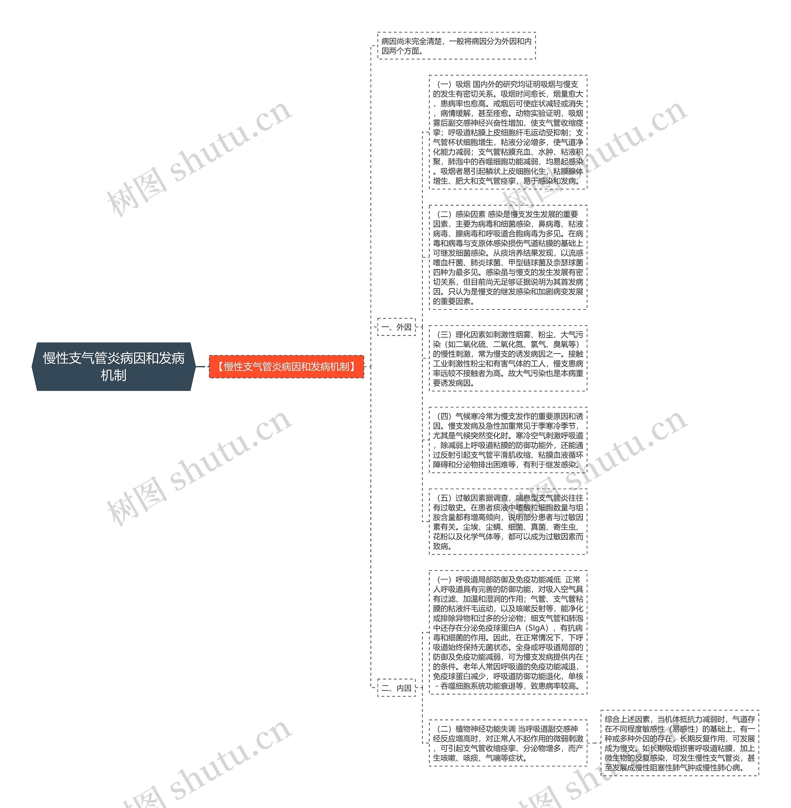 慢性支气管炎病因和发病机制思维导图