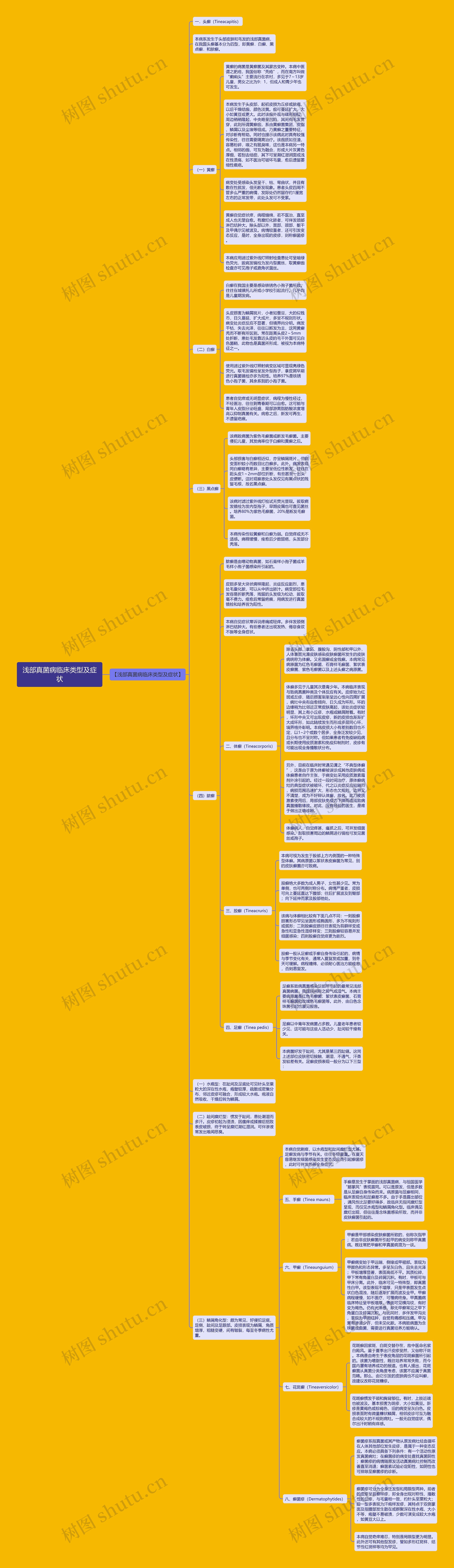 浅部真菌病临床类型及症状思维导图