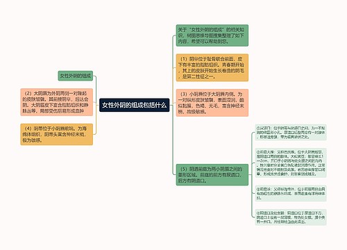 女性外阴的组成包括什么