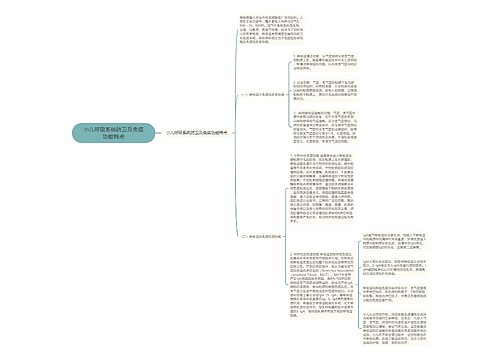 小儿呼吸系统防卫及免疫功能特点