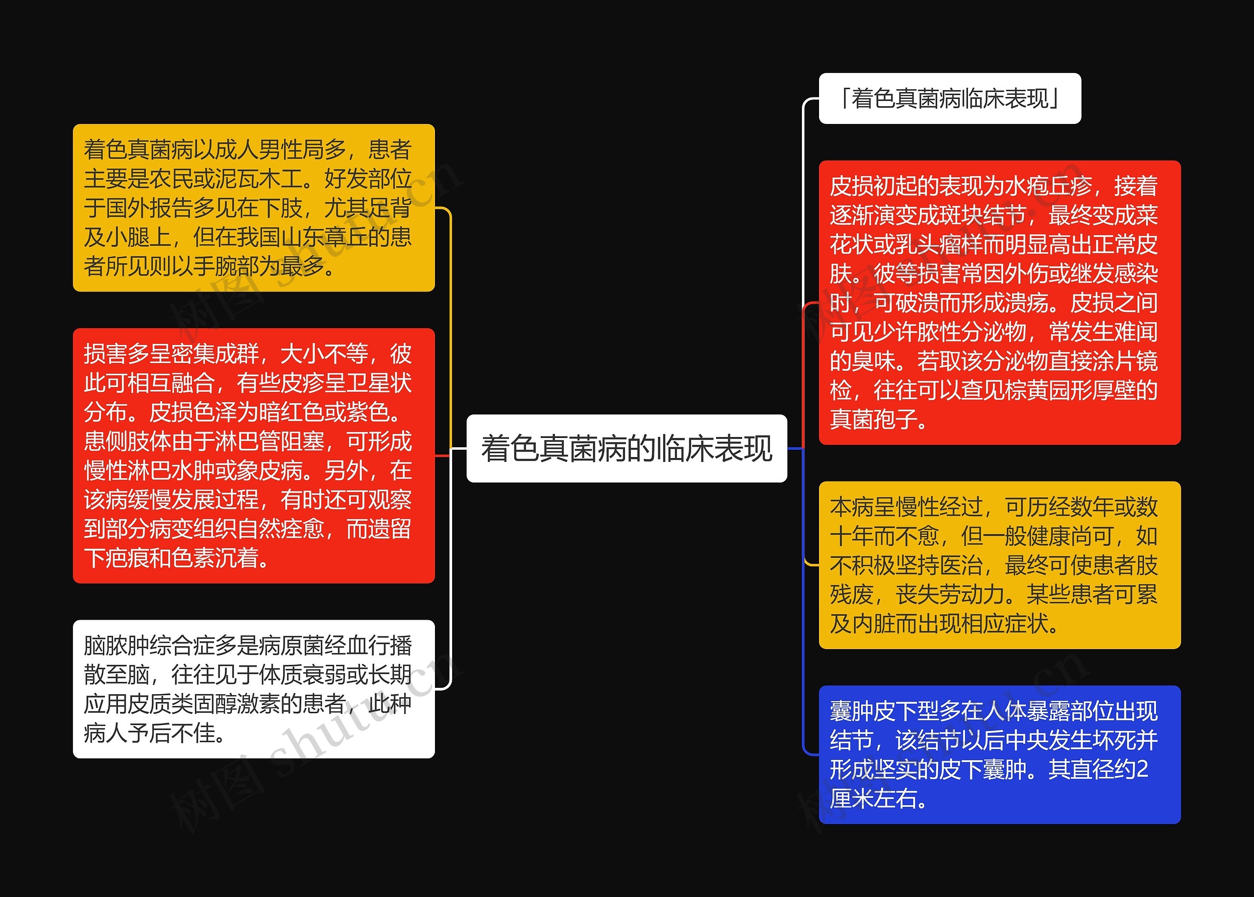 着色真菌病的临床表现思维导图