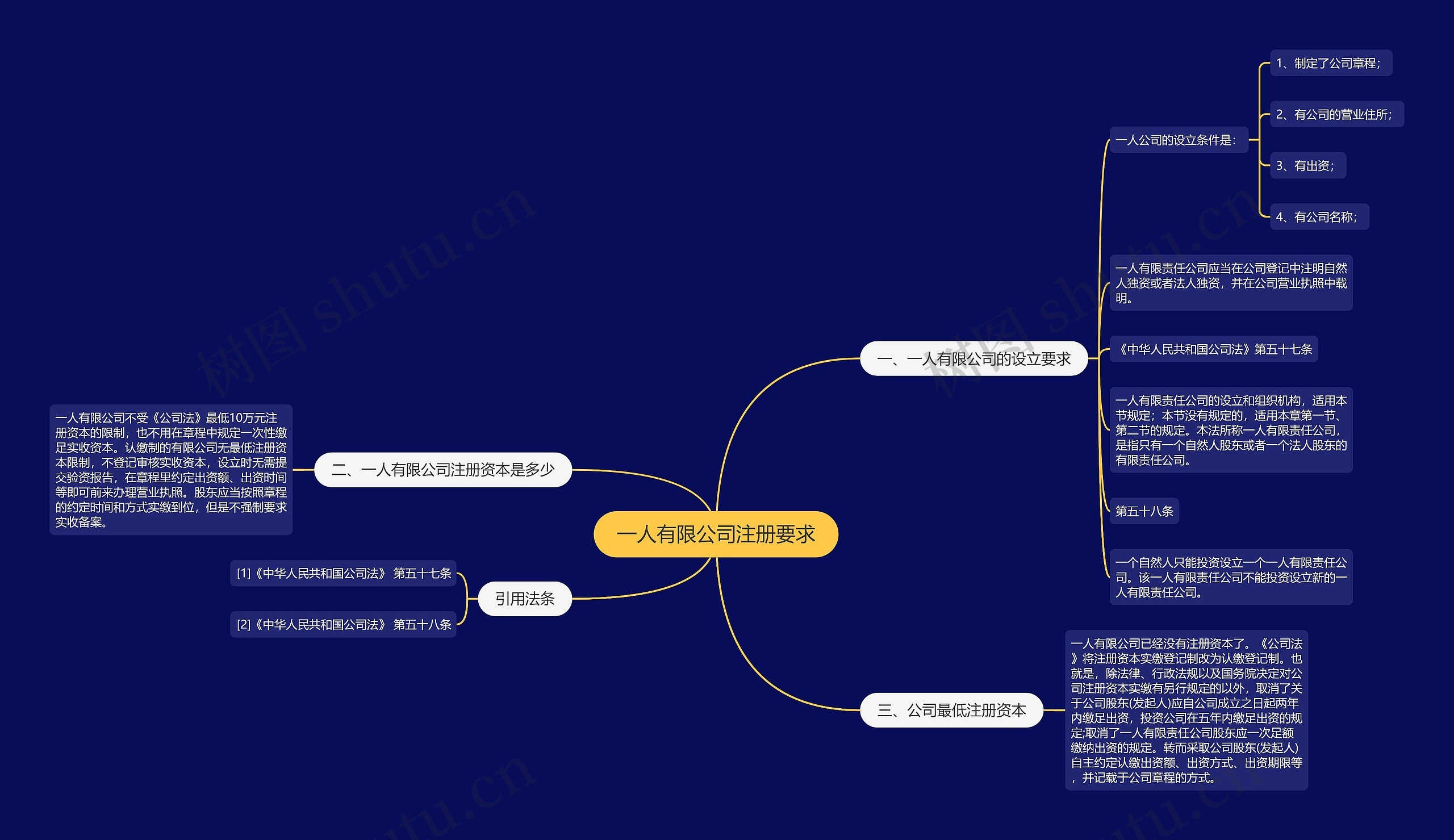 一人有限公司注册要求