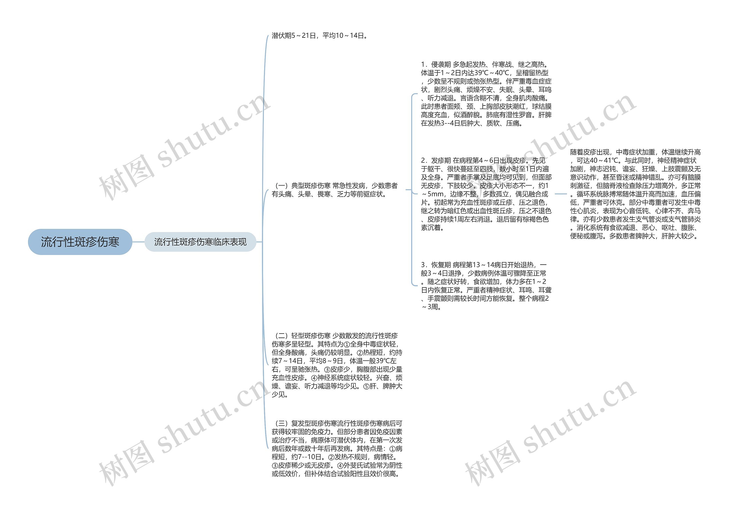 流行性斑疹伤寒思维导图