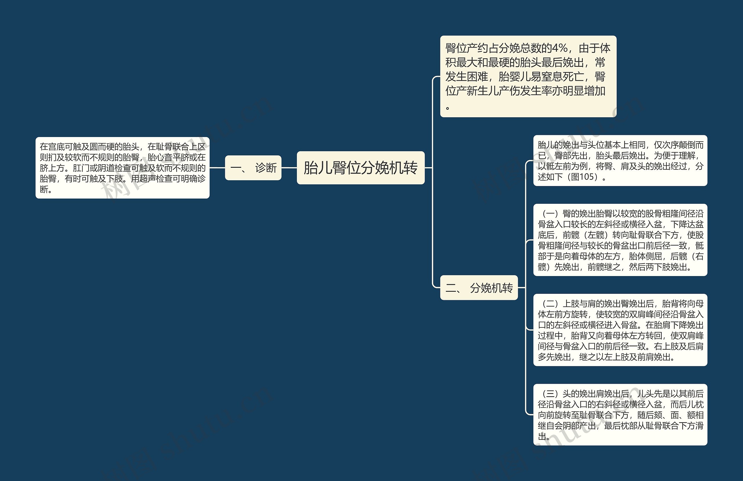 胎儿臀位分娩机转 胎儿臀位分娩机转